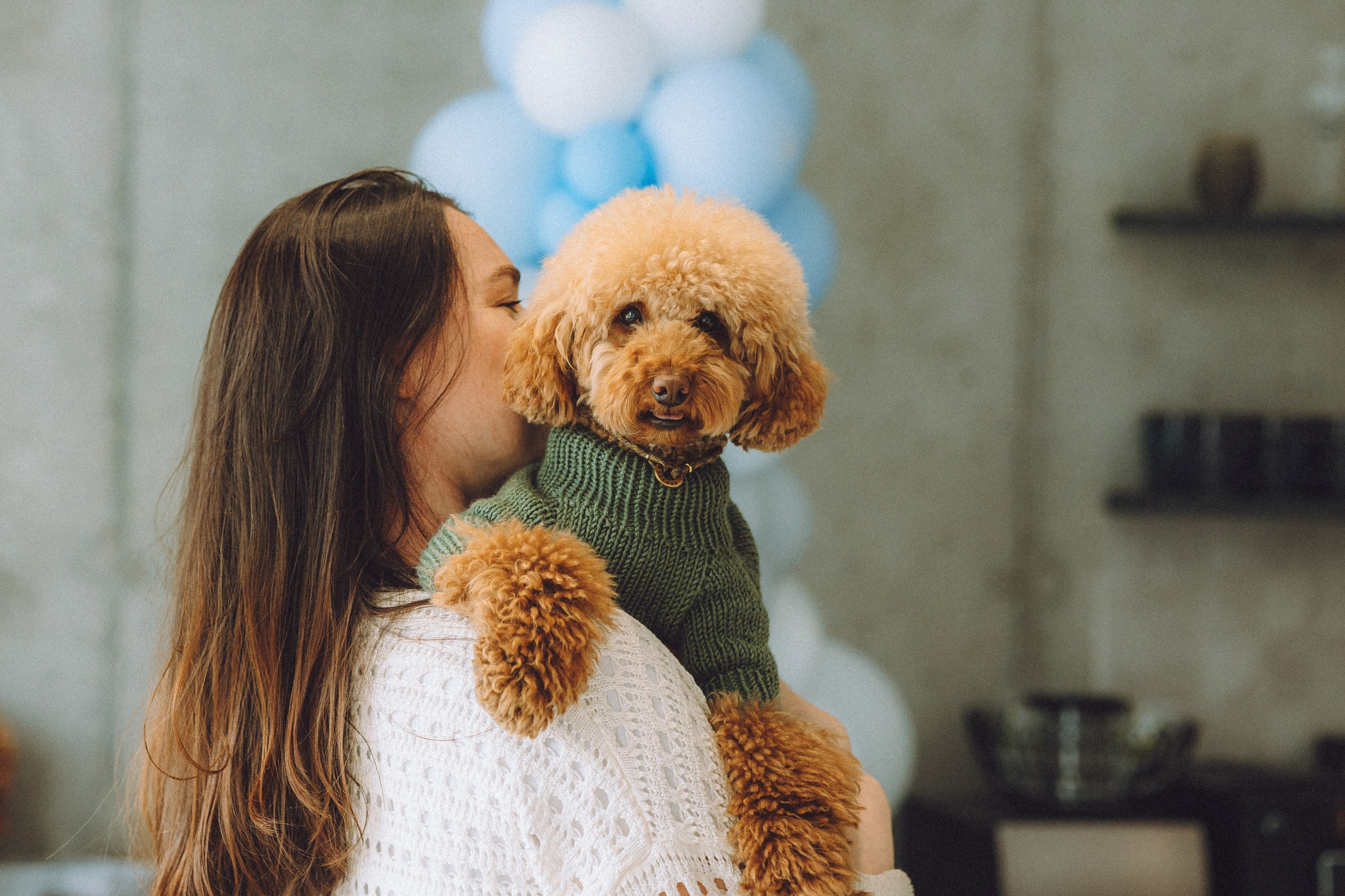 День Рождения пуделя Глаши