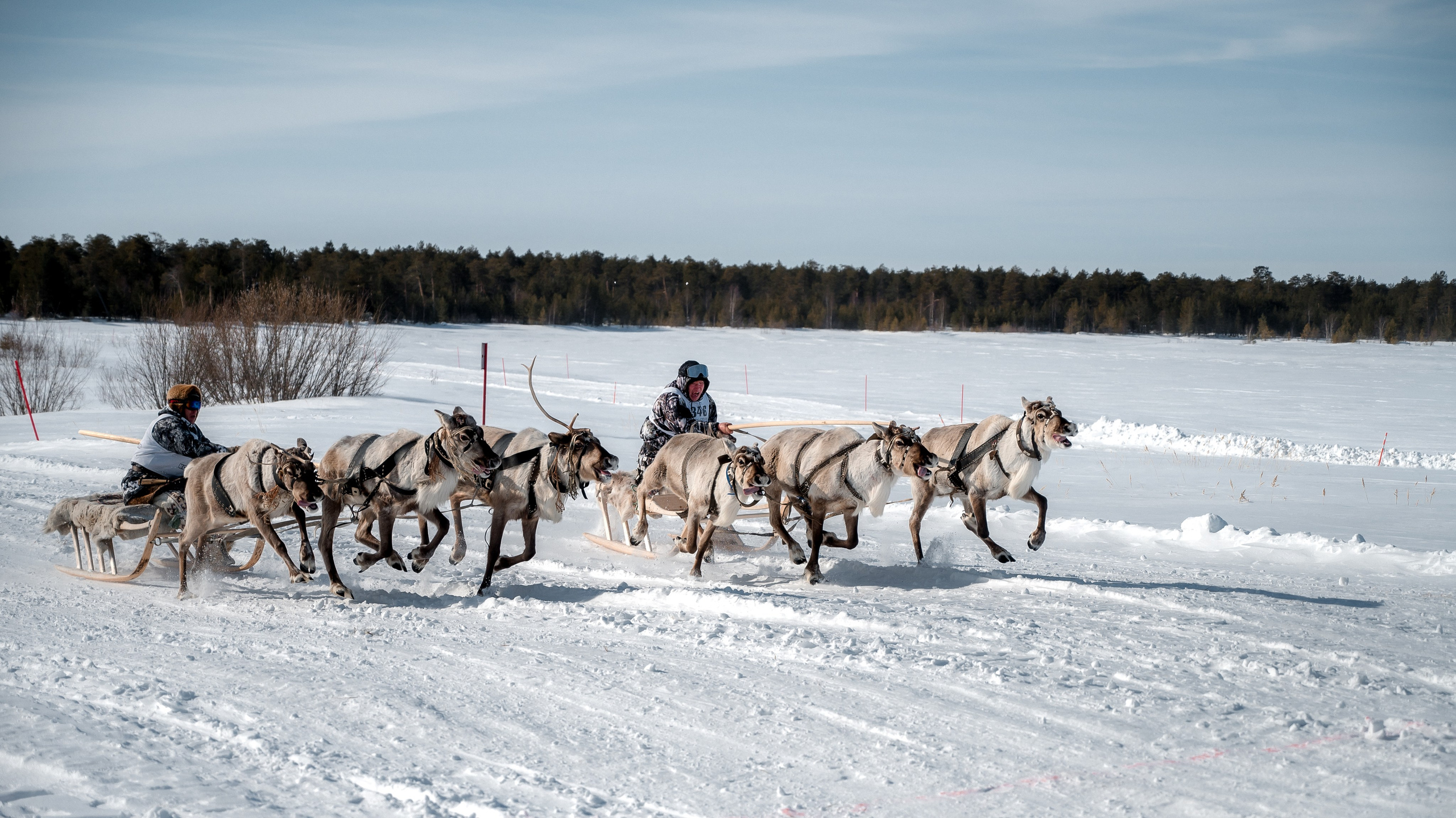 День оленевода г. Когалым. Фотограф Нижний Новгород