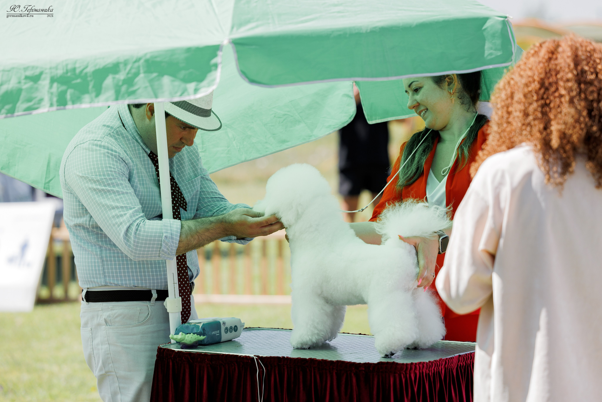 Ереван 3-5.06.2024. Фотограф-анималист Юлия Германика