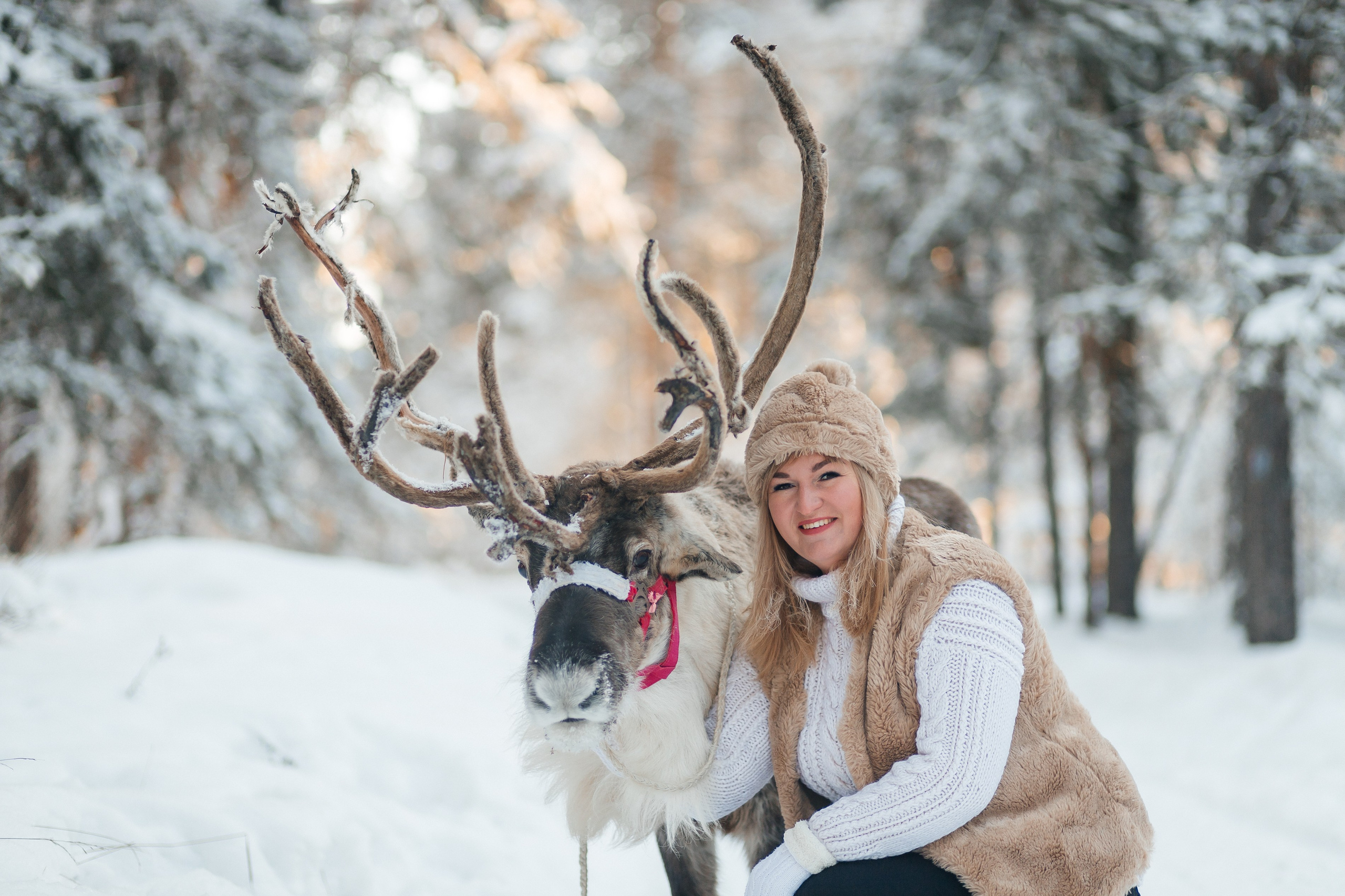 СЕВЕРНЫЙ ОЛЕНЬ. Свадебный и семейный фотограф Динар Гильмутдинов