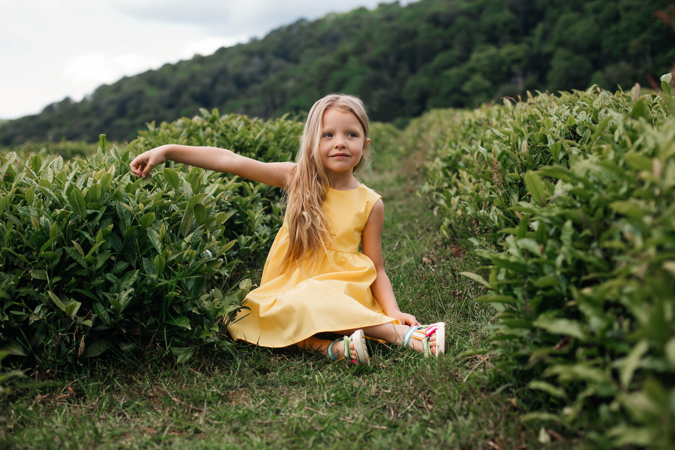 Tea plantation. Efimova Model Agency
