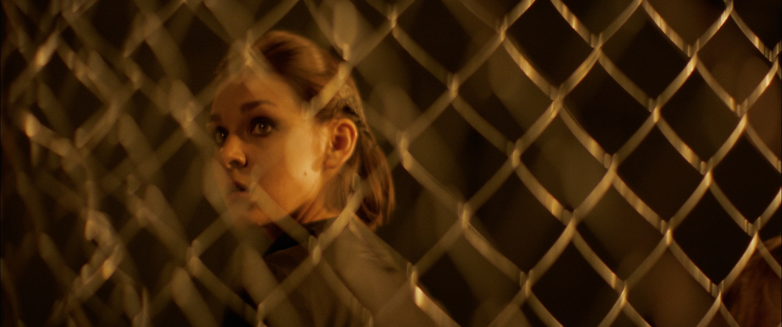 Мяу! (short film). Цветокоррекция видео онлайн Иван Сержанов