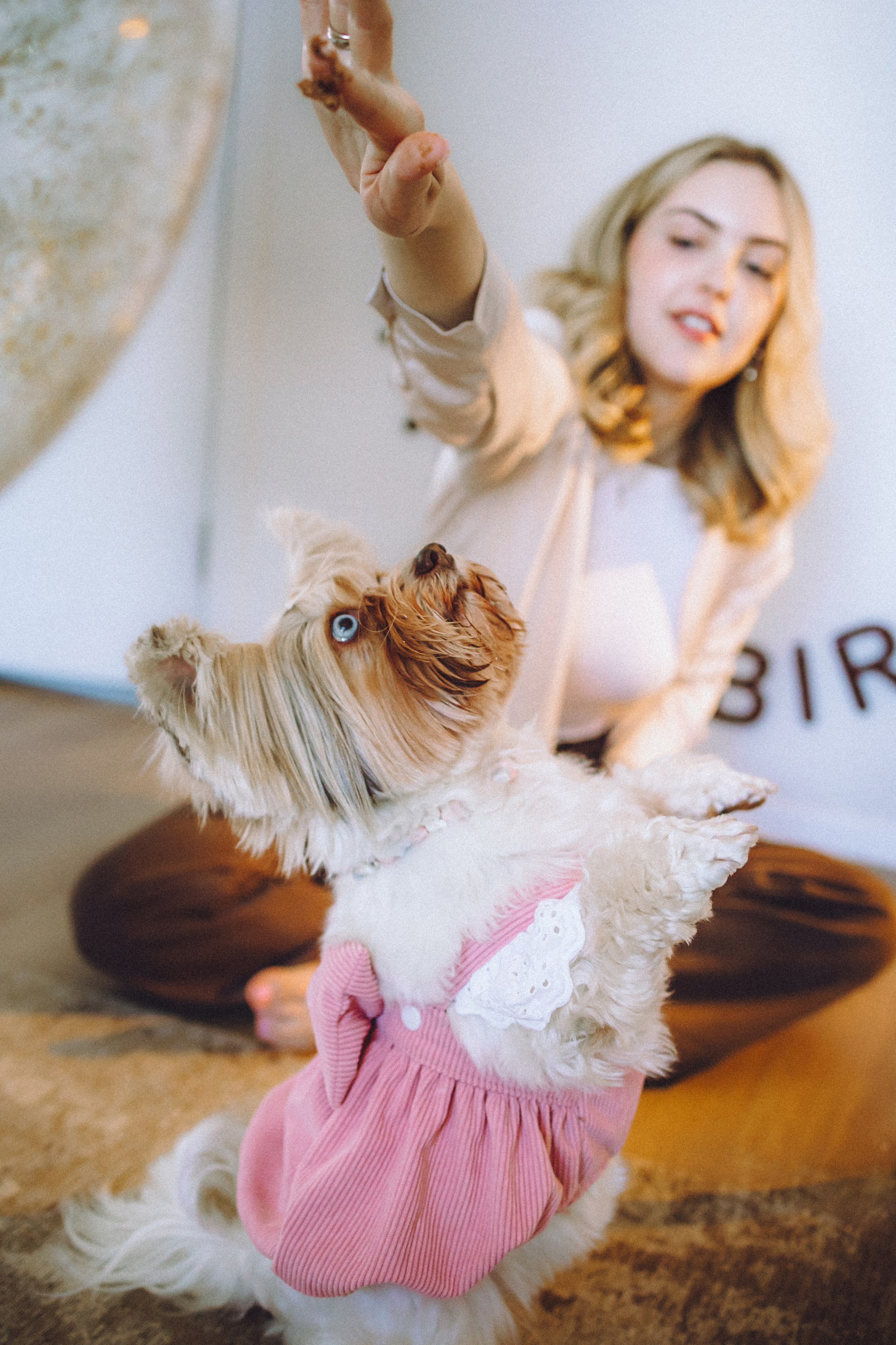 День Рождения Шу