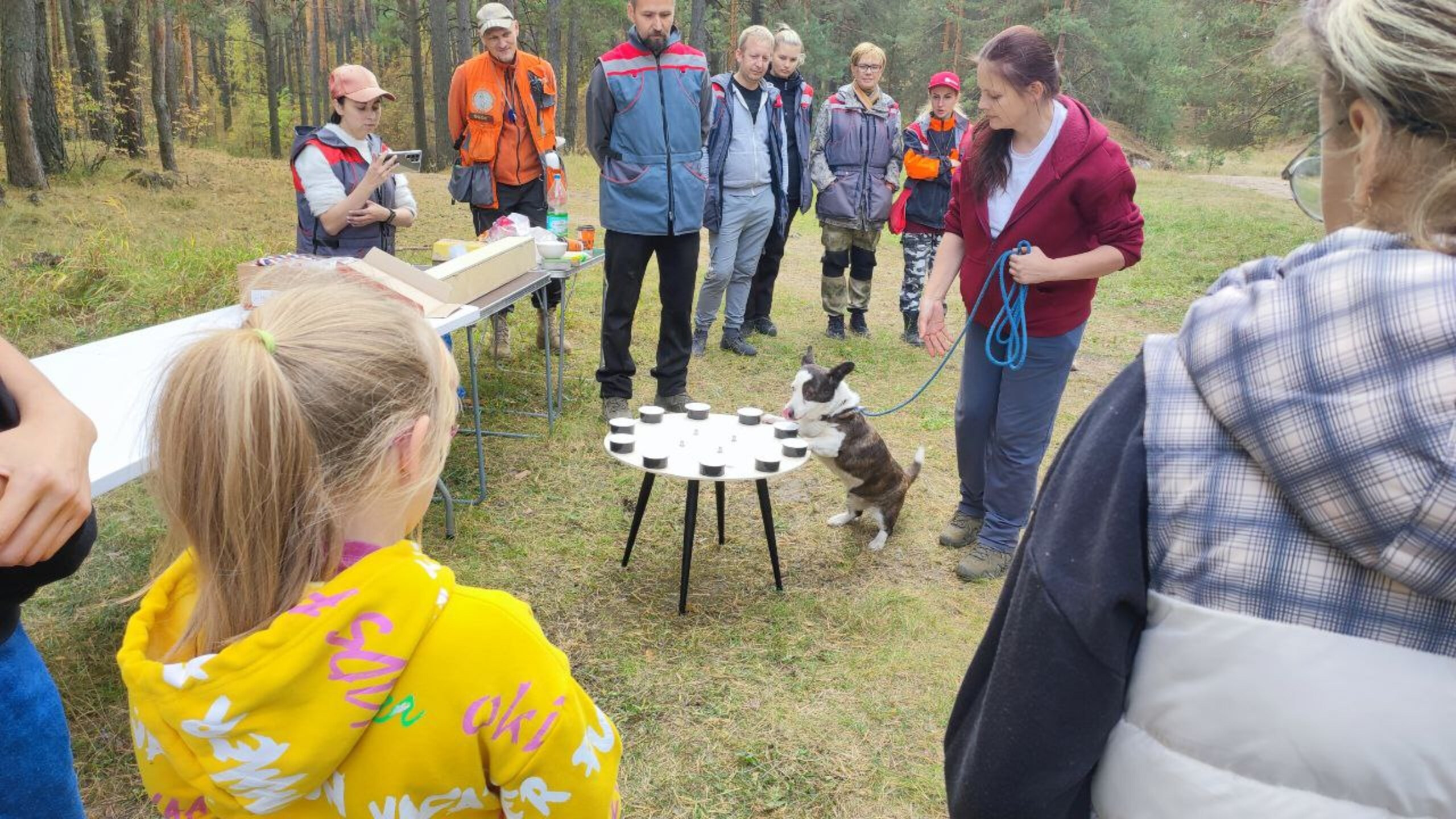 Практические занятия по дрессировке. НРОО КЦ "Собаковод"