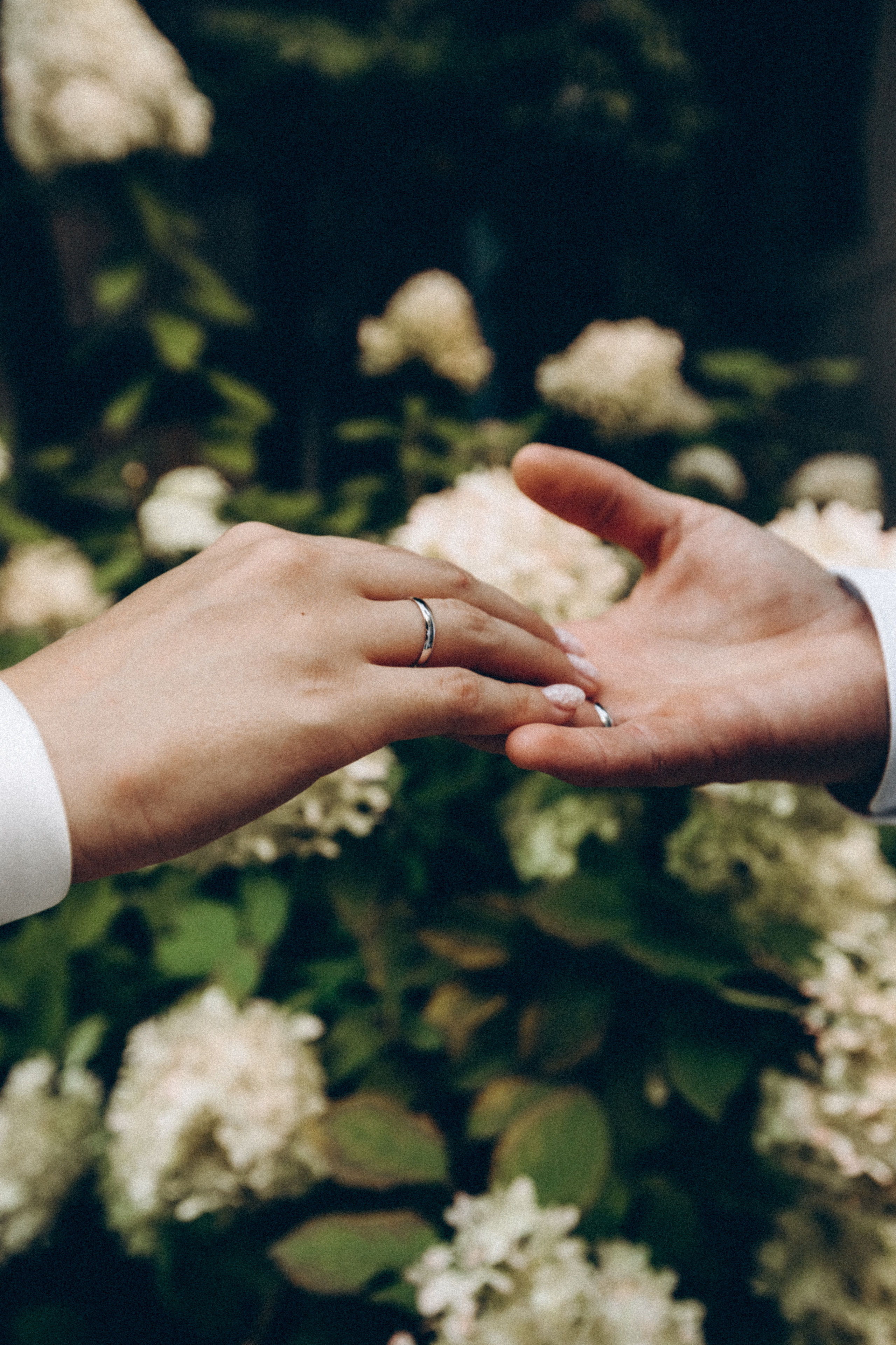 Наталия и Константин. Портретный и свадебный фотограф в Перми Ная Моложенко