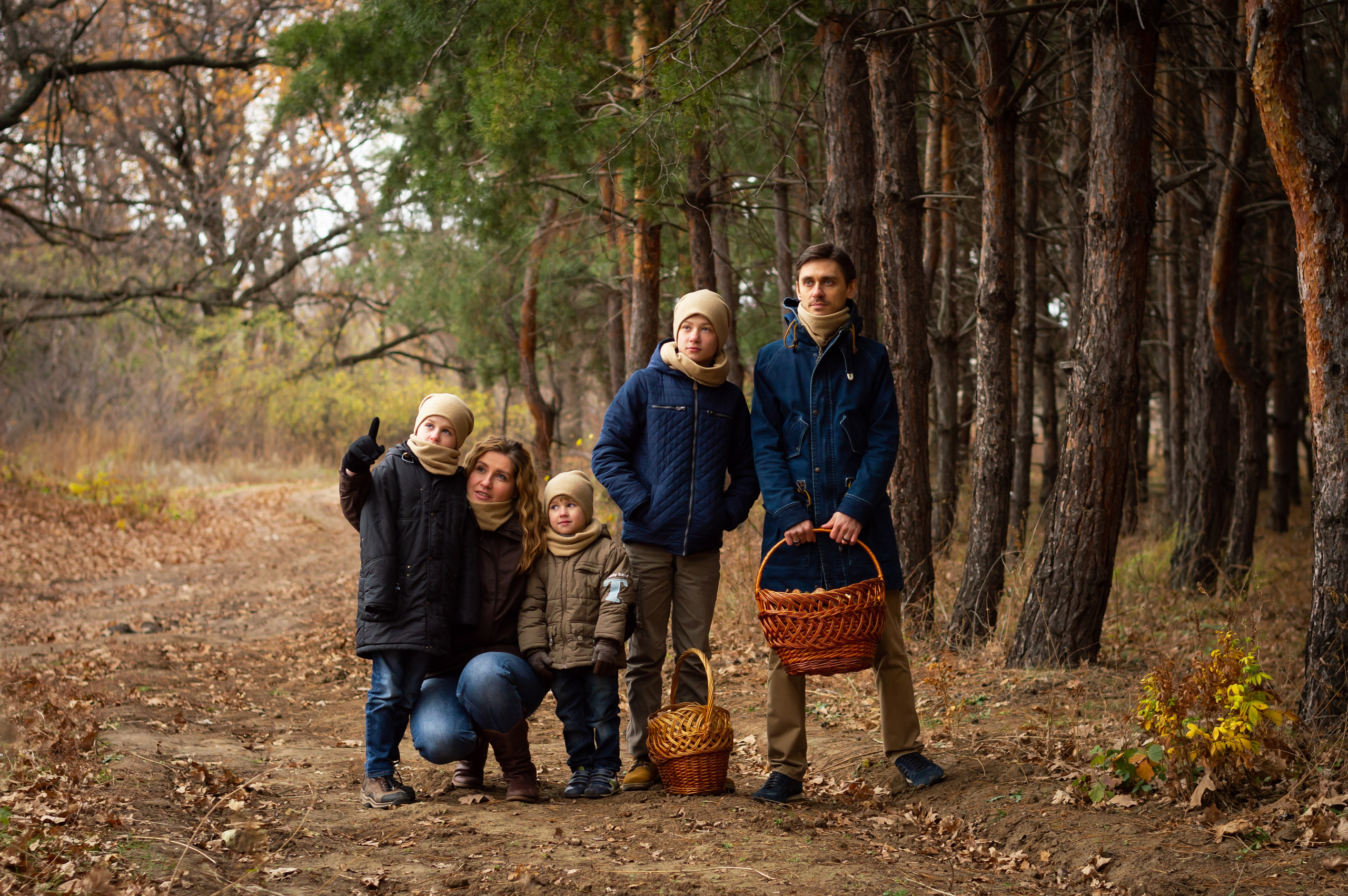 По грибы. Главная