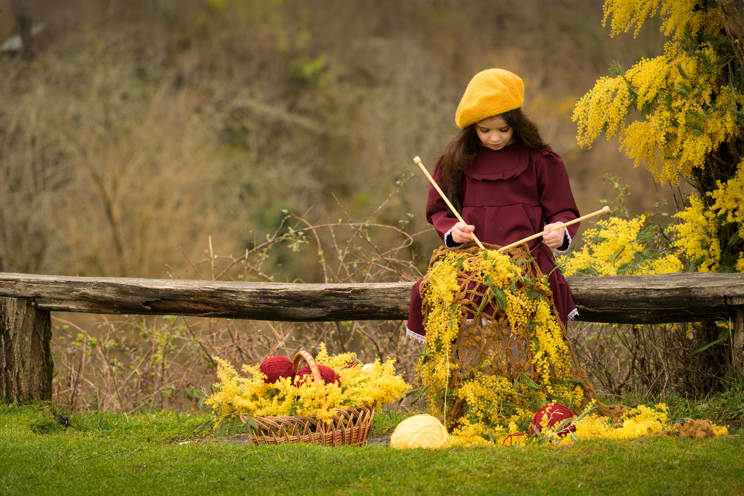 Фотосессия с мимозой