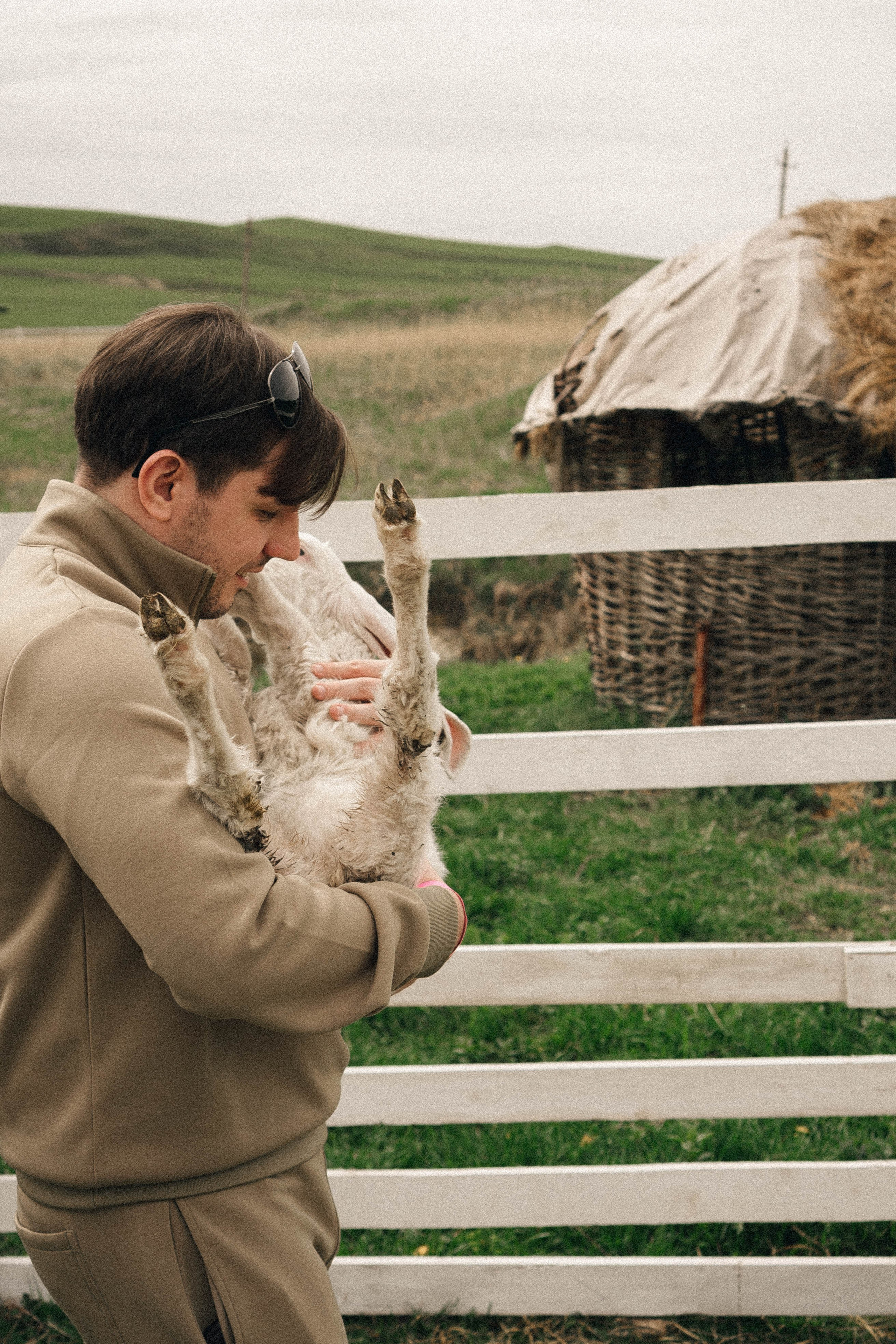 Ферма Альпак. Профессиональный фотограф, Санкт-Петербург — Виктория Богомолова