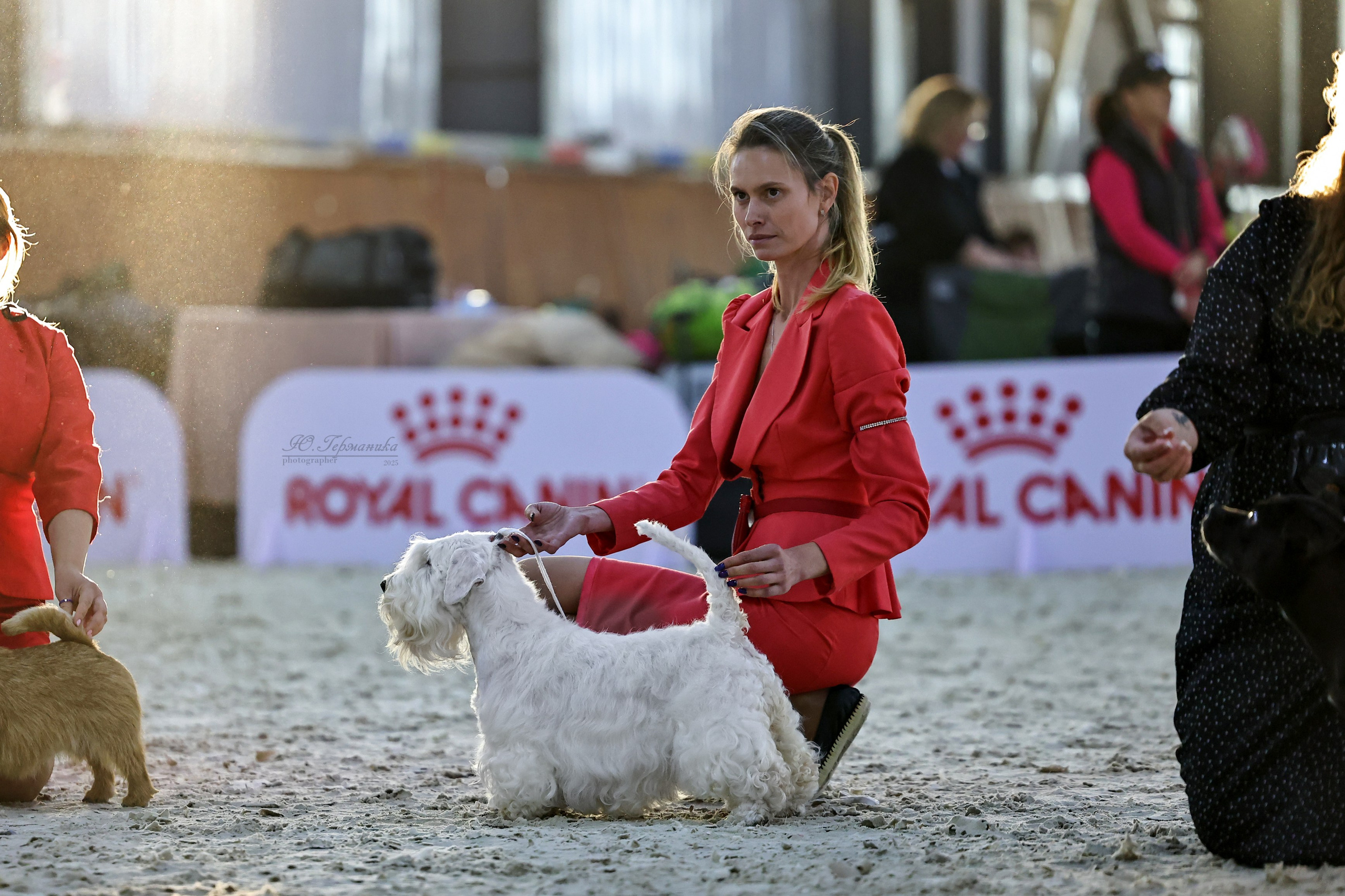 Астана 2хCACIB 26-28.09.2025. Фотограф-анималист Юлия Германика