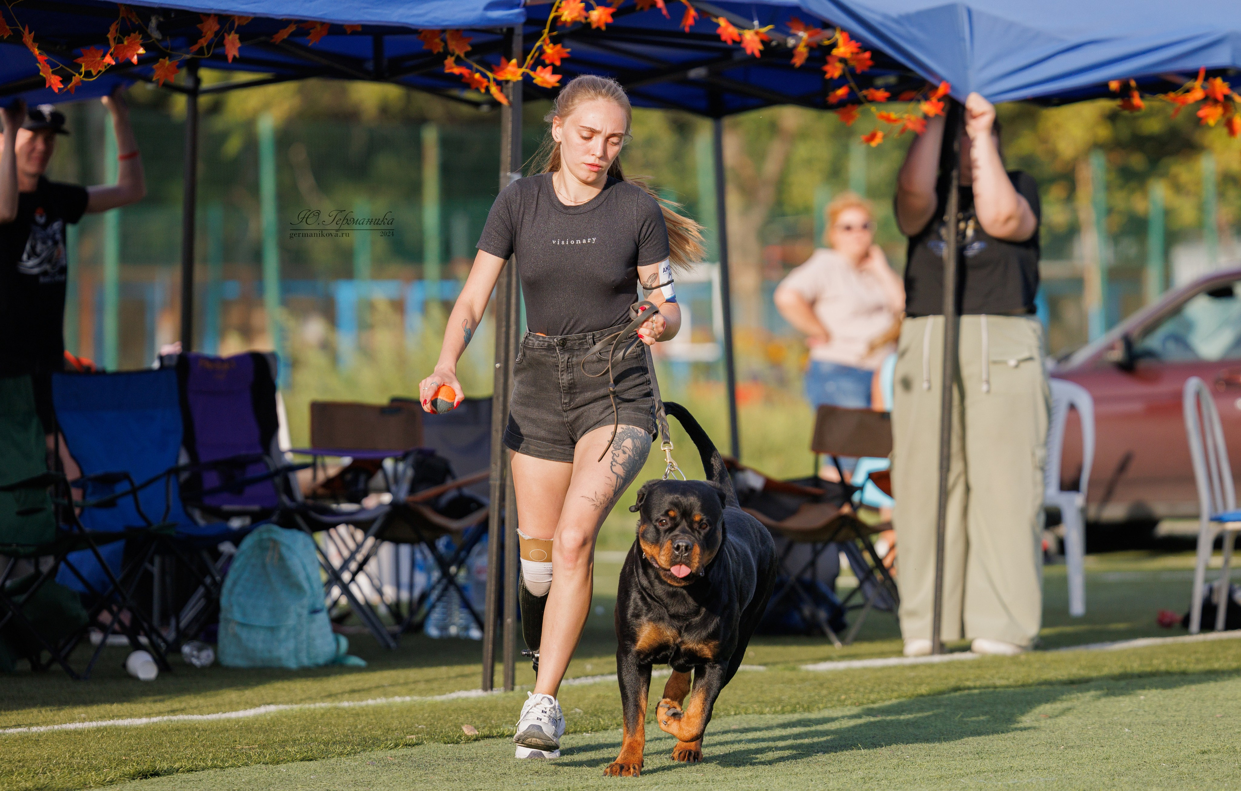 Анапа ротвейлеры 14-15.09.2024. Фотограф-анималист Юлия Германика