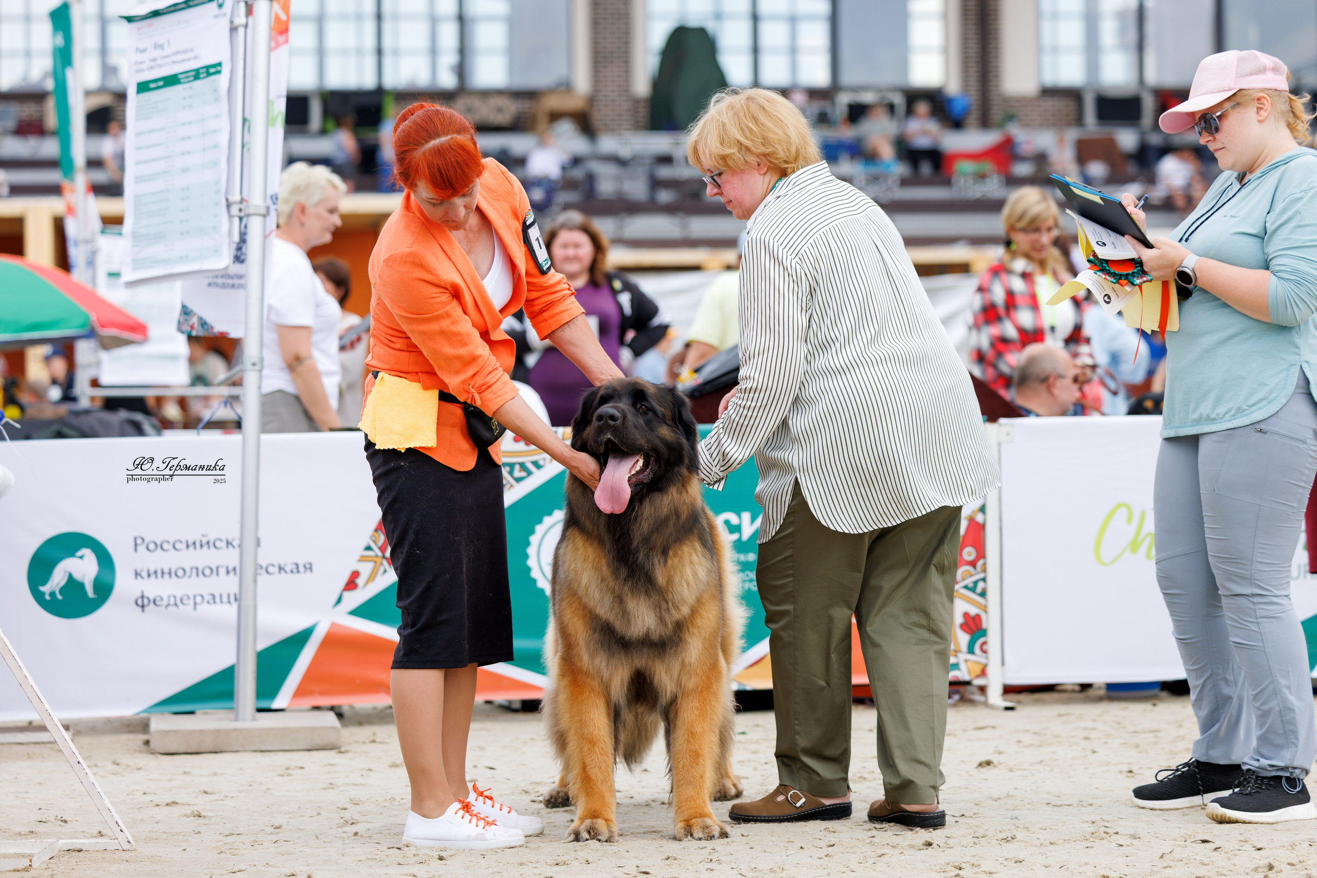 РОССИЯ 7-8.06.2025. Фотограф-анималист Юлия Германика