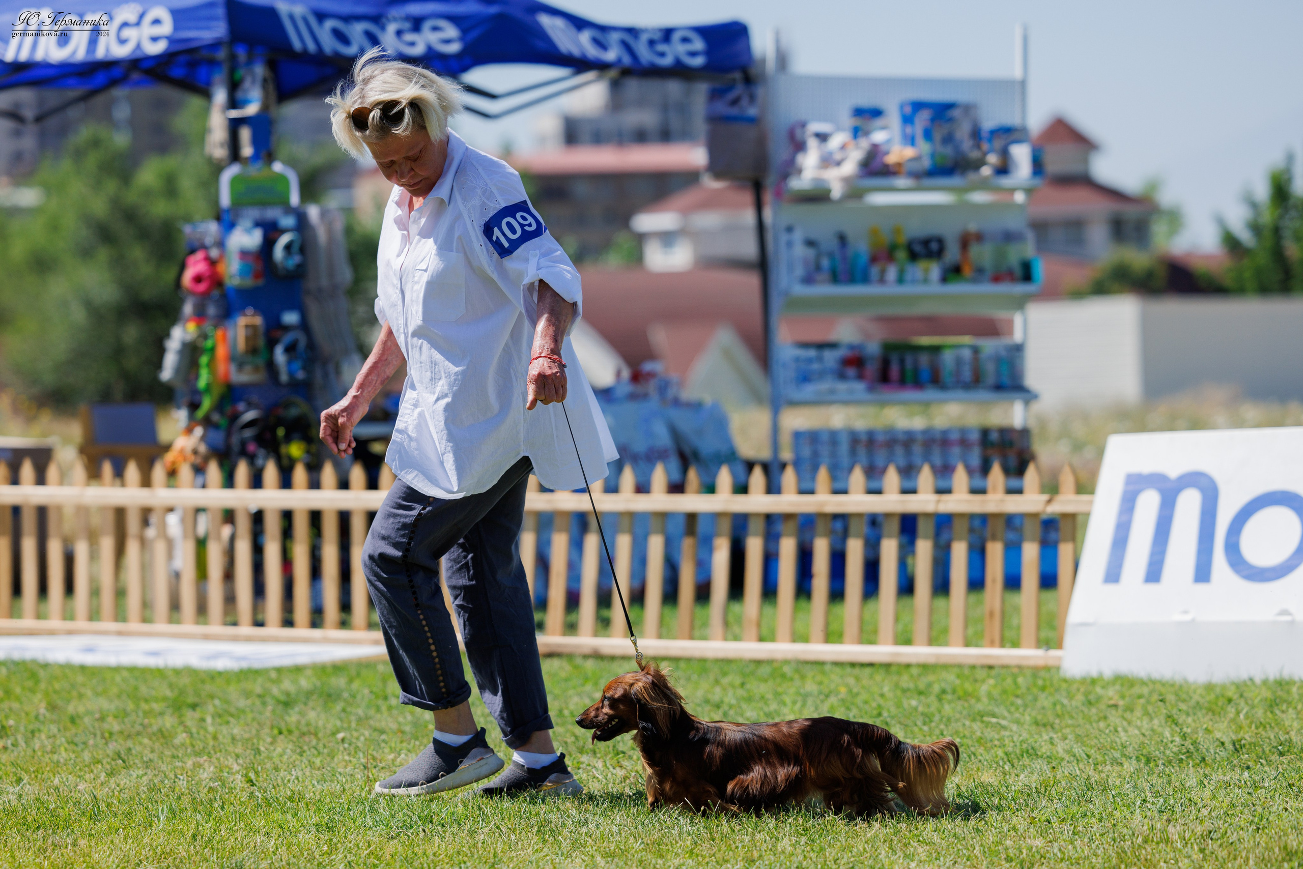 Ереван 3-5.06.2024. Фотограф-анималист Юлия Германика