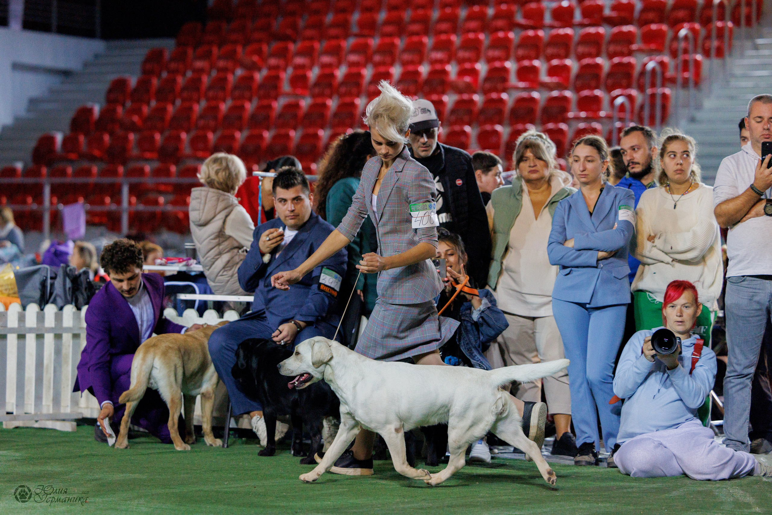 Грузия,Телави 2хCACIB 19-20.10.2024. Фотограф-анималист Юлия Германика