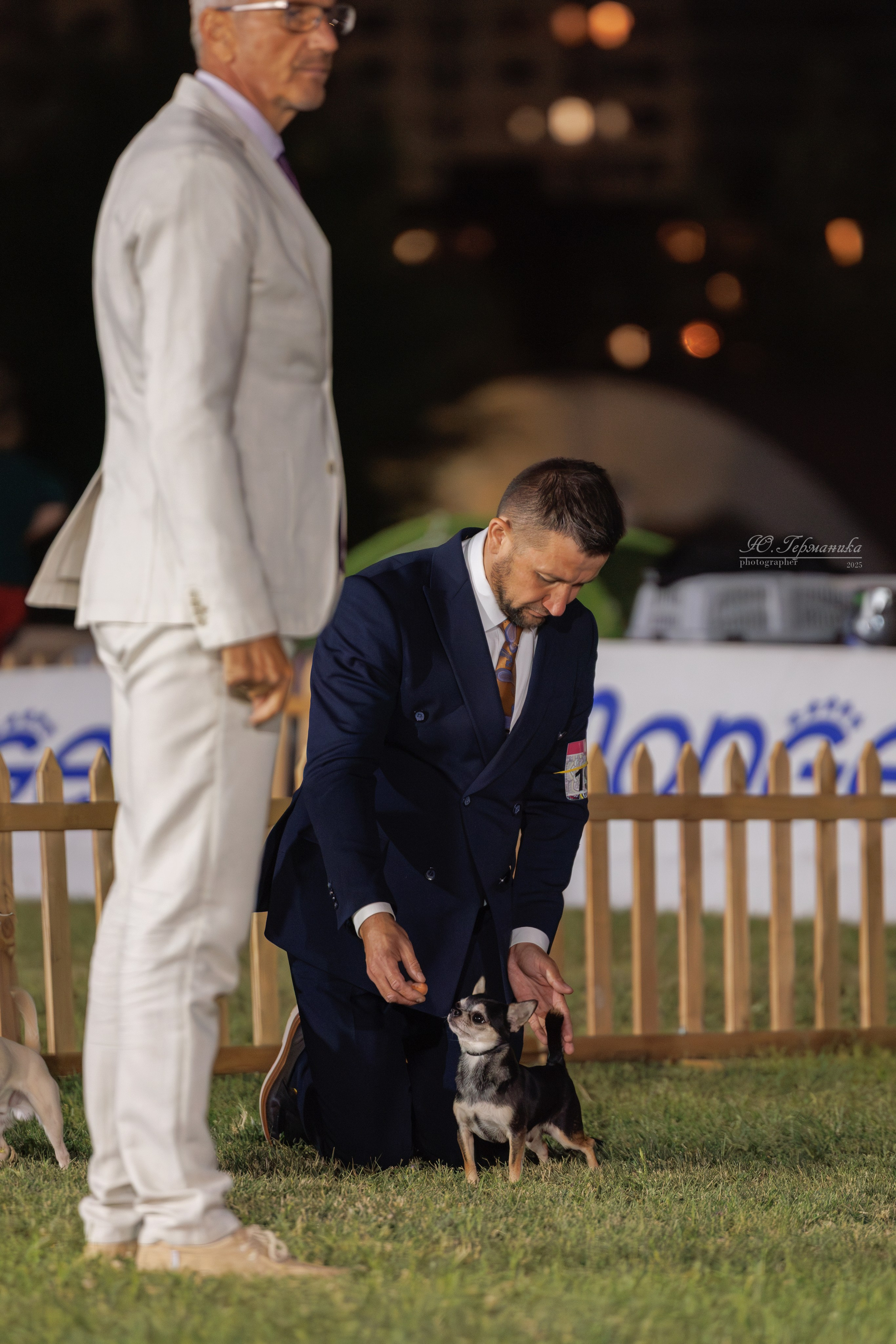 Ереван 3хCACIB 23-25.06.2025. Фотограф-анималист Юлия Германика