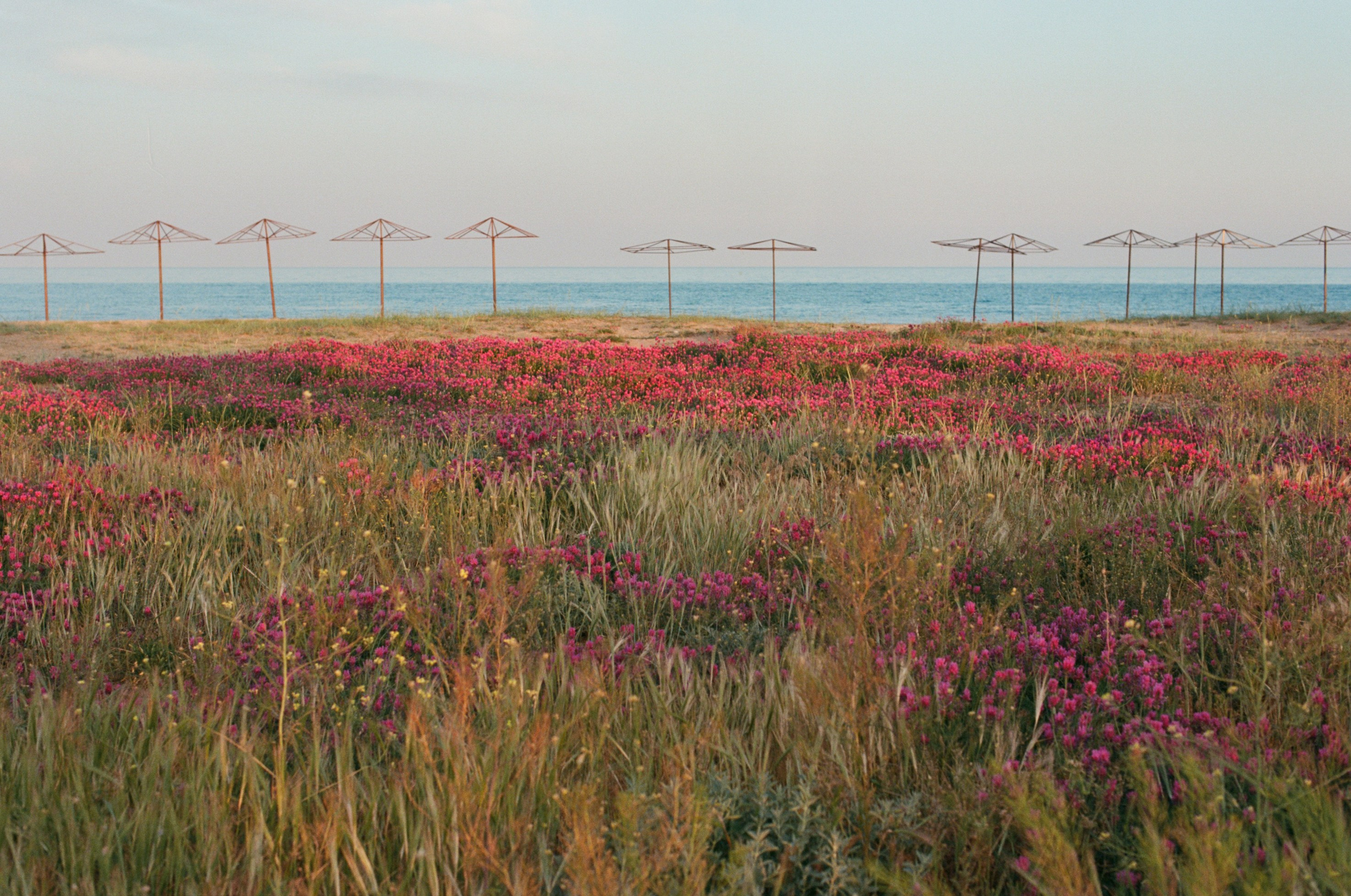 Champagne supernova // ukraine, crimea III. EVER EXPOSED