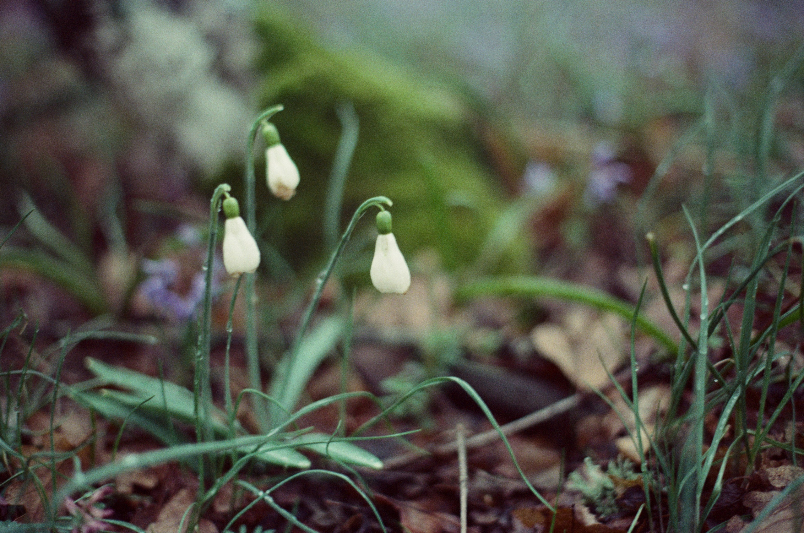 Some kind of madness // ukraine, crimea. EVER EXPOSED