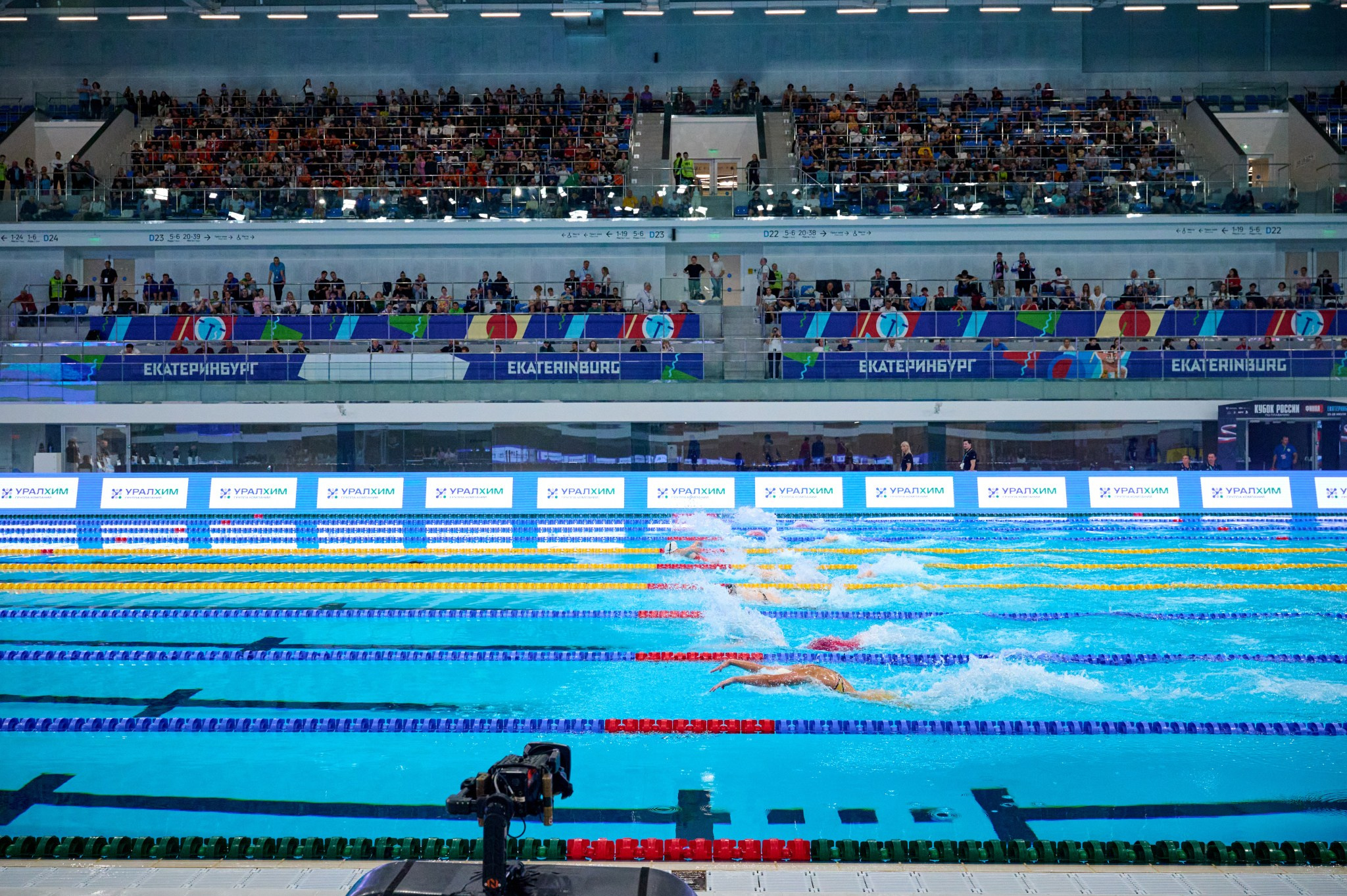 Кубок России по плаванию 2024 г. Екатеринбург. Мезенцев Евгений фотограф