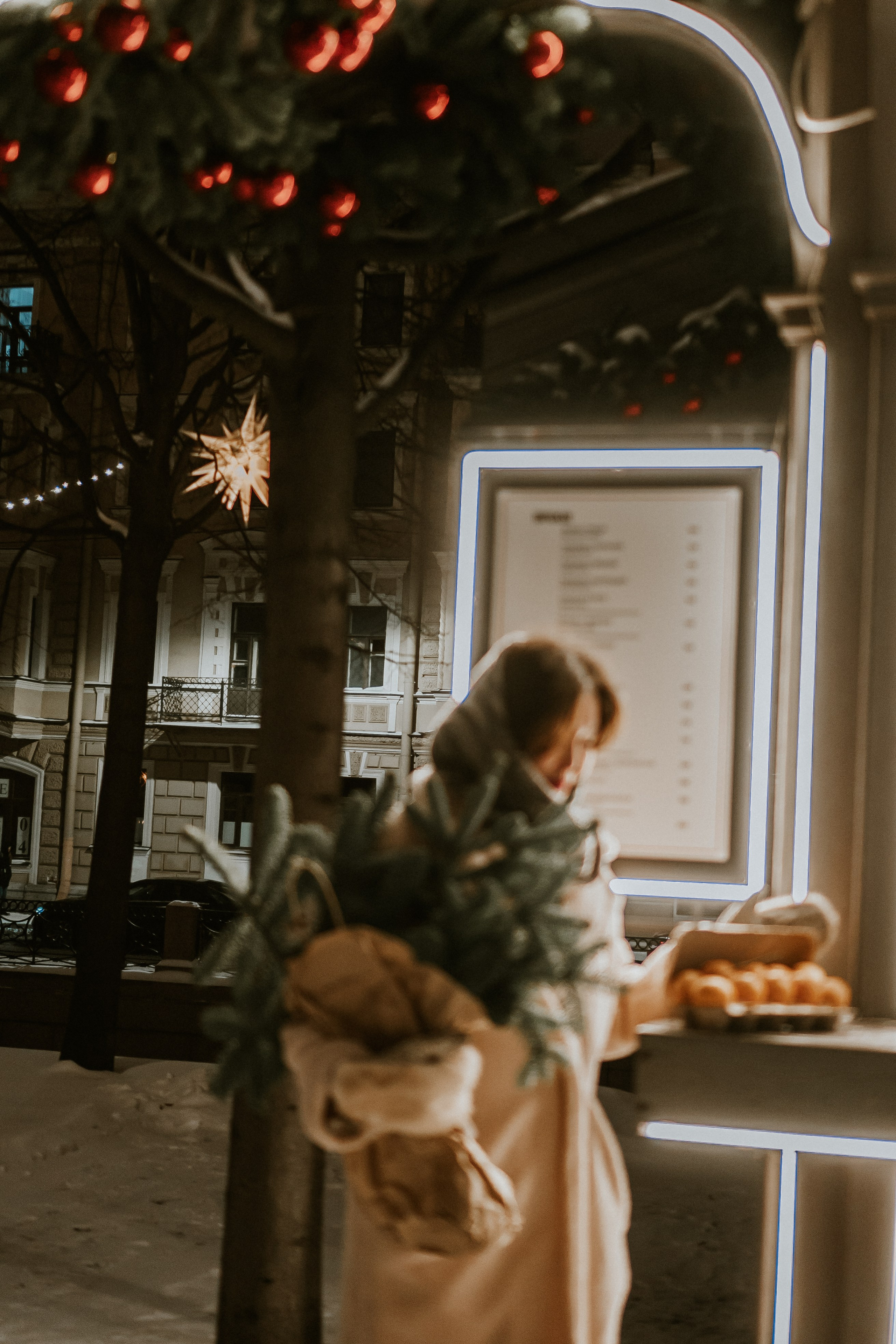 Зимняя сказка в Новой Голандии. Профессиональный фотограф, Санкт-Петербург — Виктория Богомолова