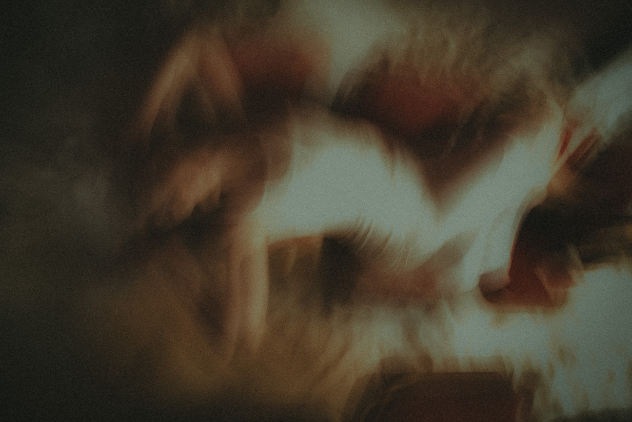 Театр моей души. Фотограф Крещение Венчание Москва