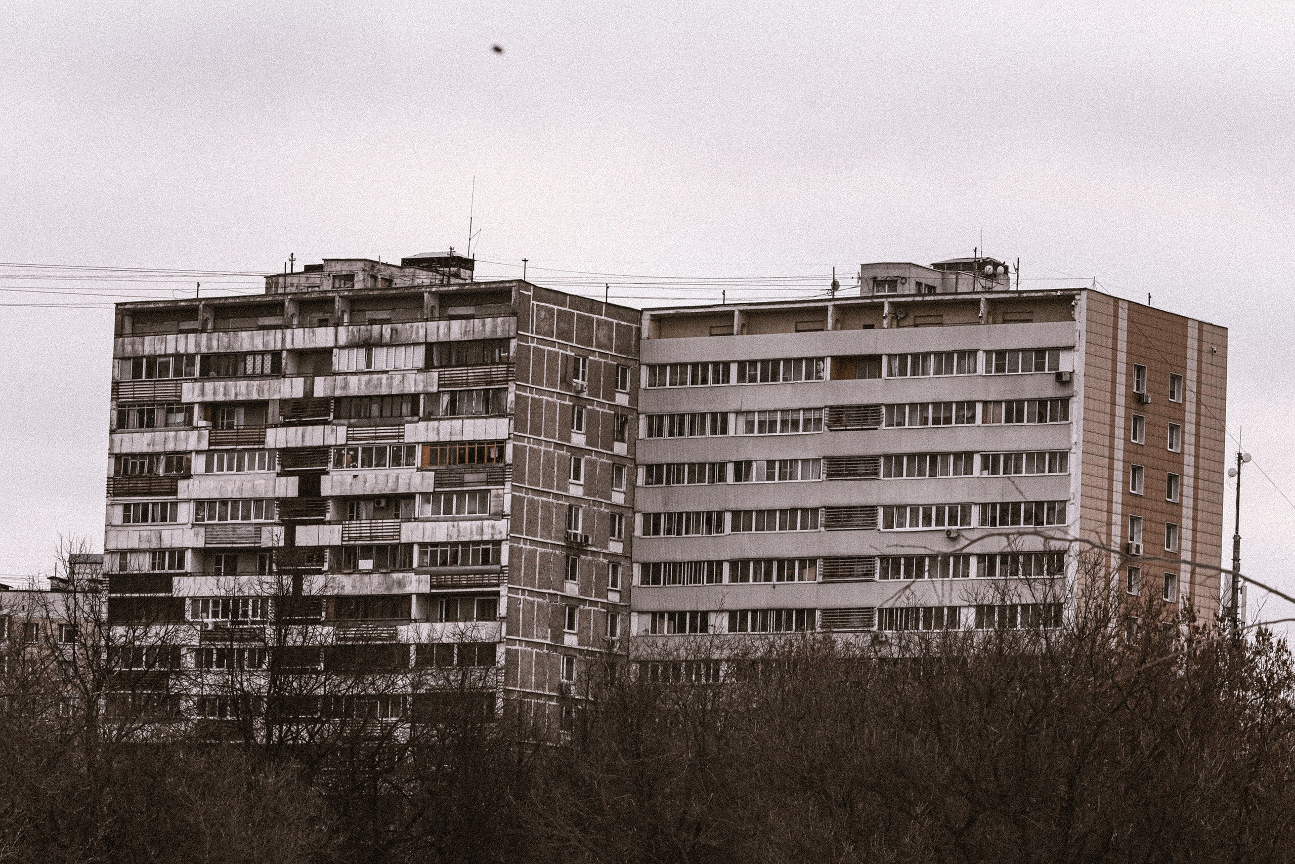 Пресеты. Павел Иванов — фотохудожник