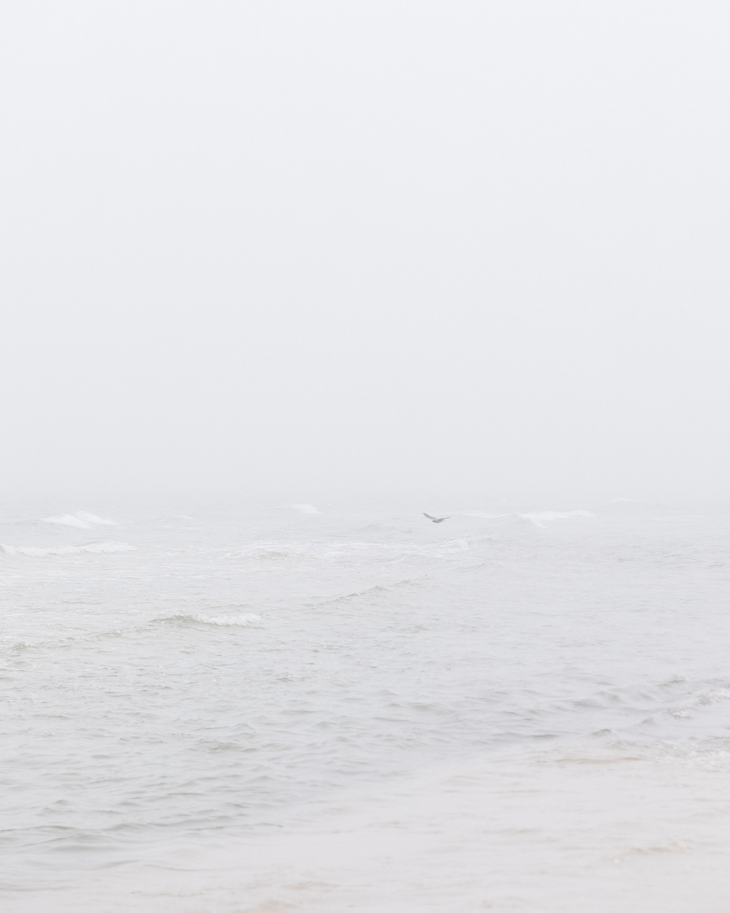 Life. Лена Крутова. Фотограф в Москве