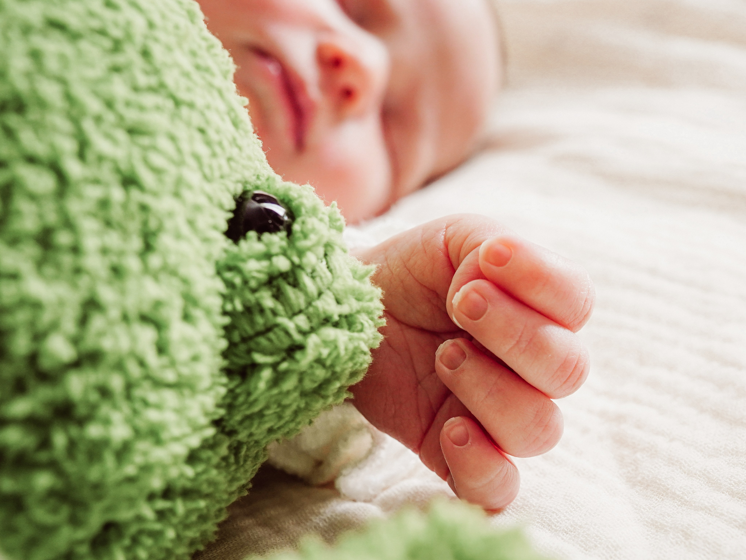 Вера. Семейный и детский фотограф в Москве (Тинао) Галкина Алевтина