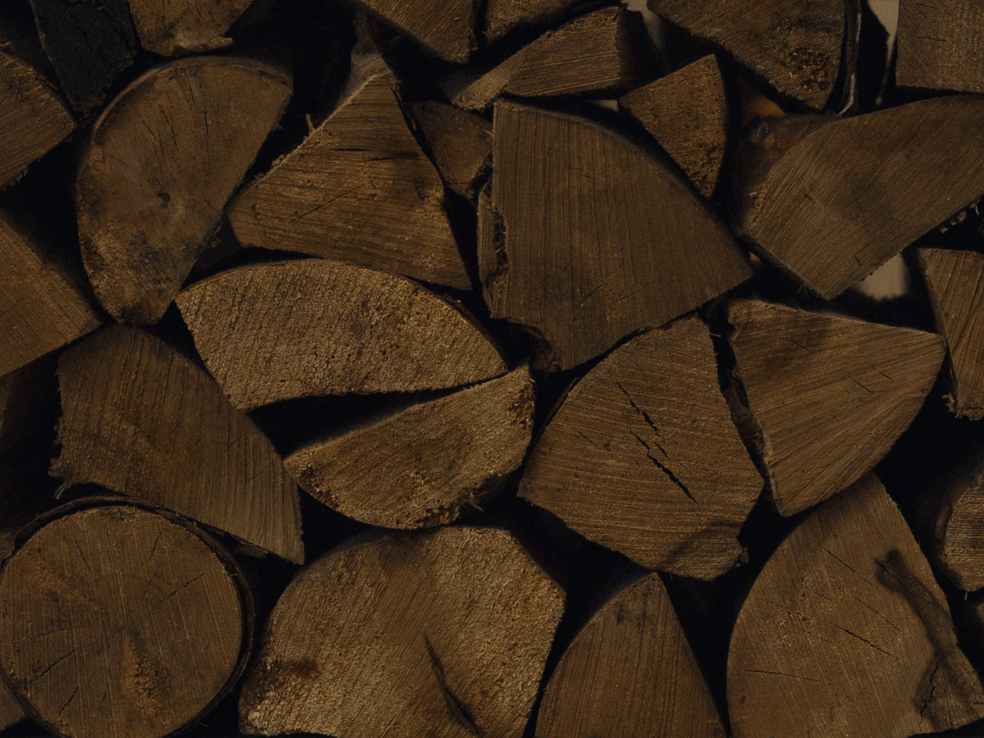 «Лепестком белой вишни». Свадебный фотограф Москва