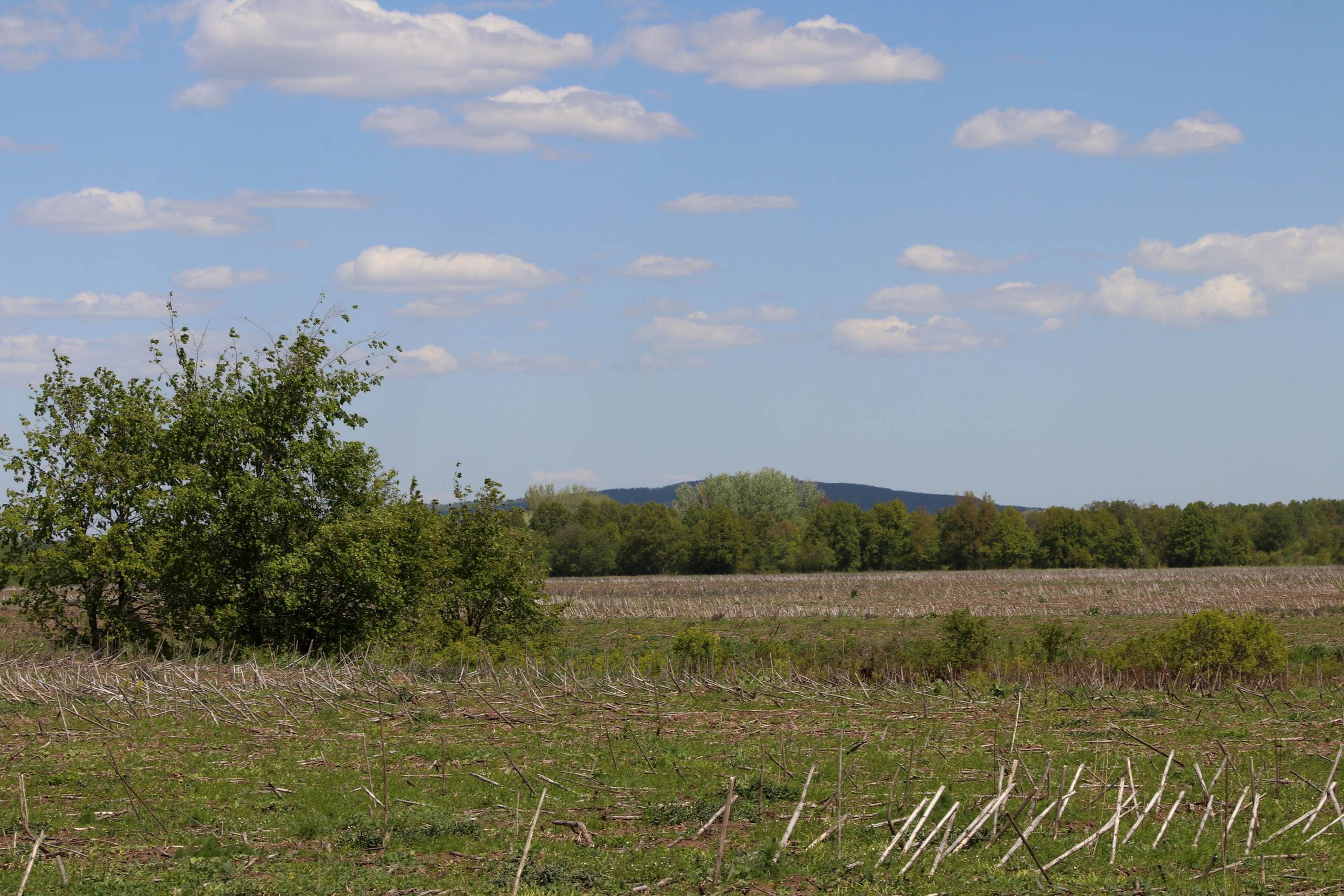 Велопоход Уфа — Мелеуз. Май 2024. Путешественник-фотограф из Санкт-Петербурга Татьяна Свистулина