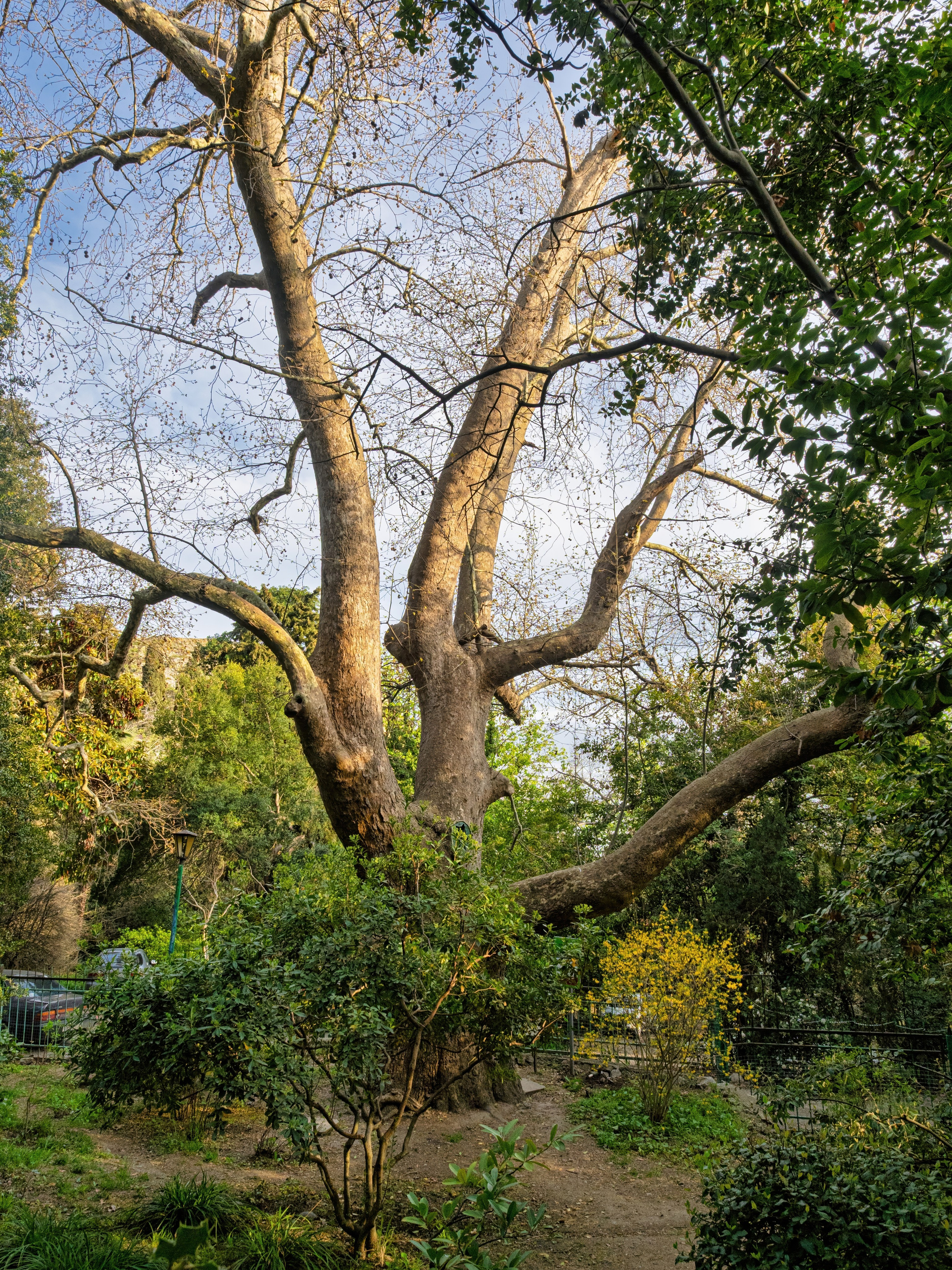 Крым, Утес, 2021 год. Фотограф Никифоров-Гордеев Сергей. Москва и МО