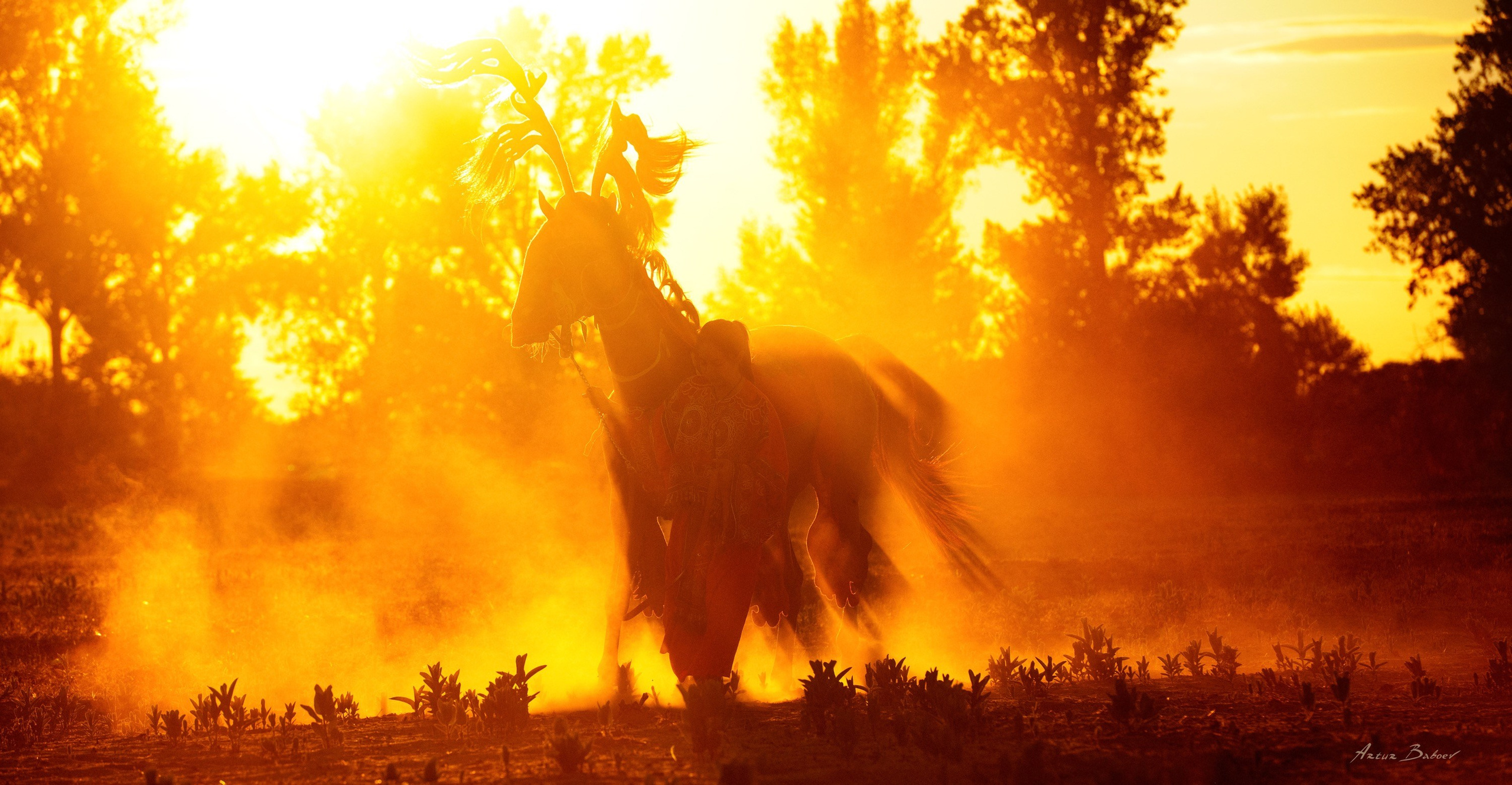 Gallery. Art photos of horses — ARTUR BABOEV | Photographer