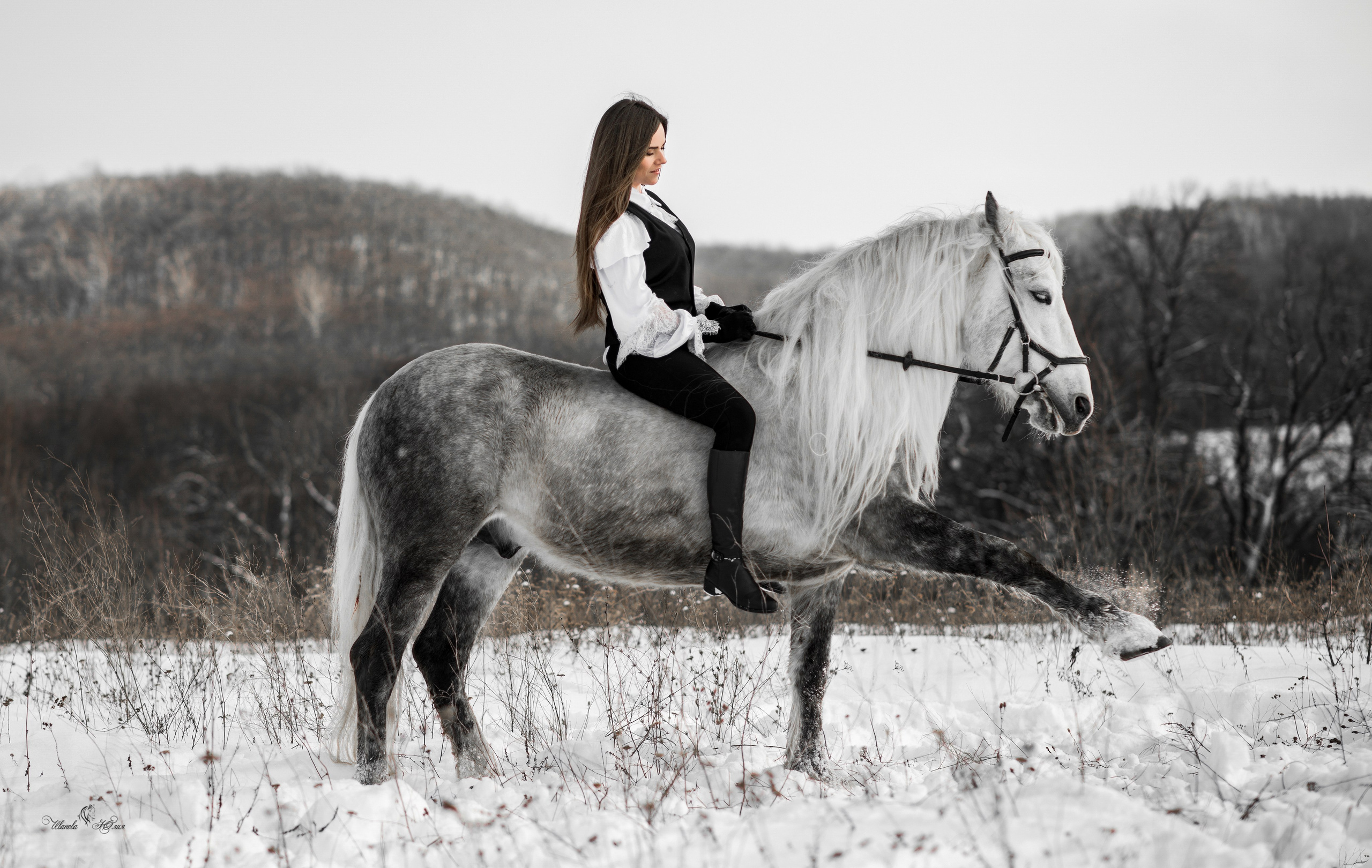 Маша и Вымпел. Конный фотограф в Саратове Юлия Иванова