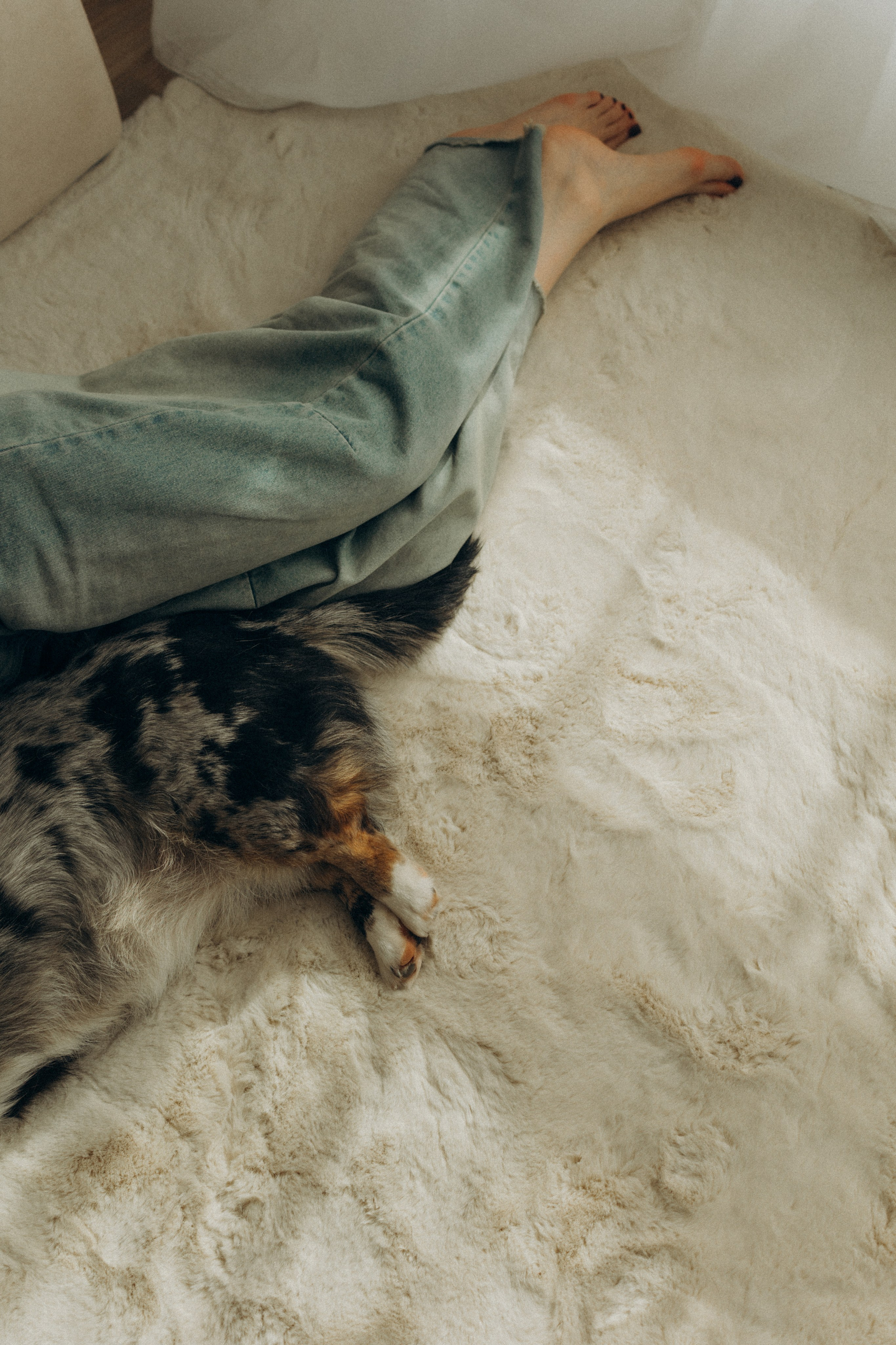 Бэлла, Деми и Луна. Фотораф — анималист Мария Шистка