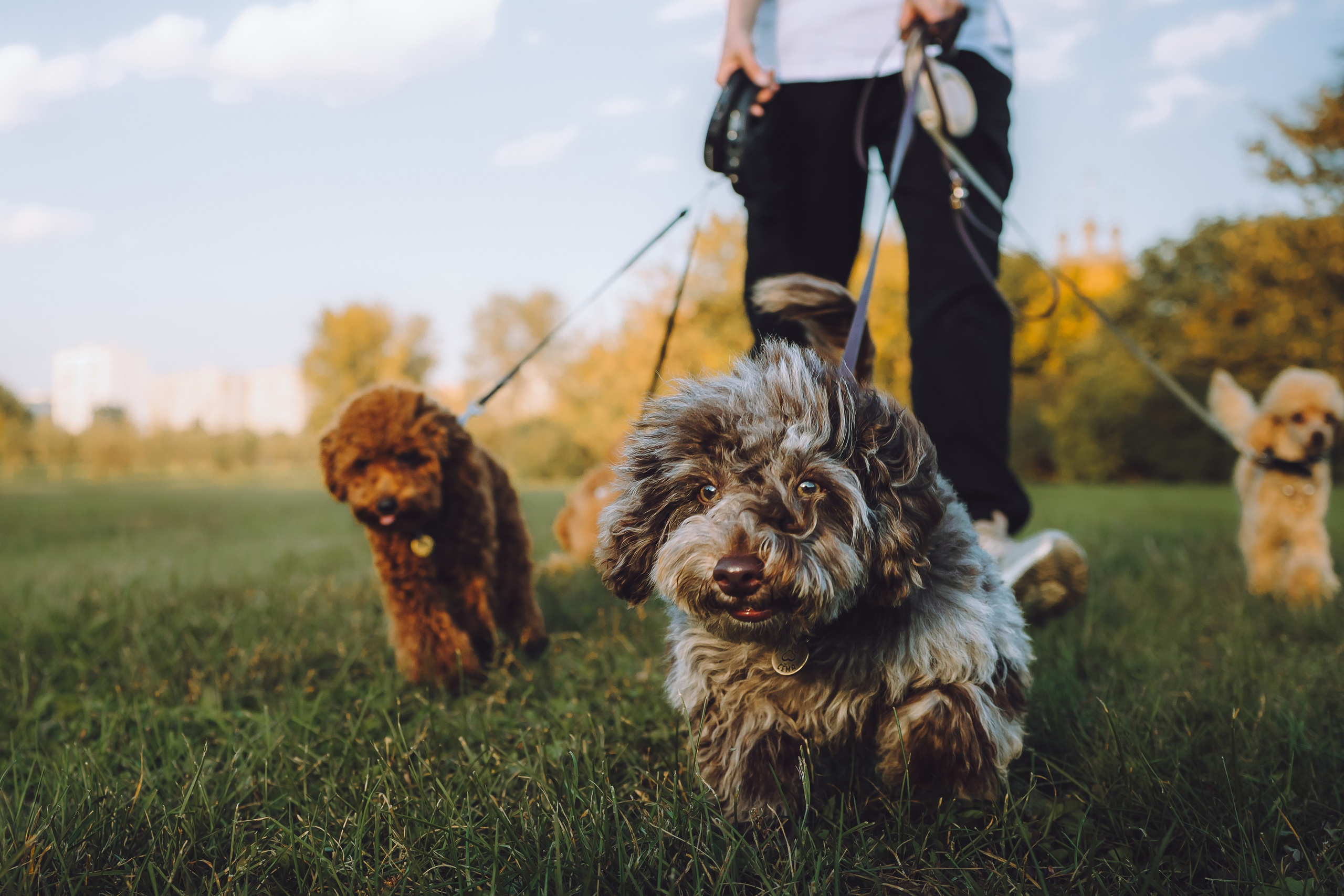 Кристина и все-все