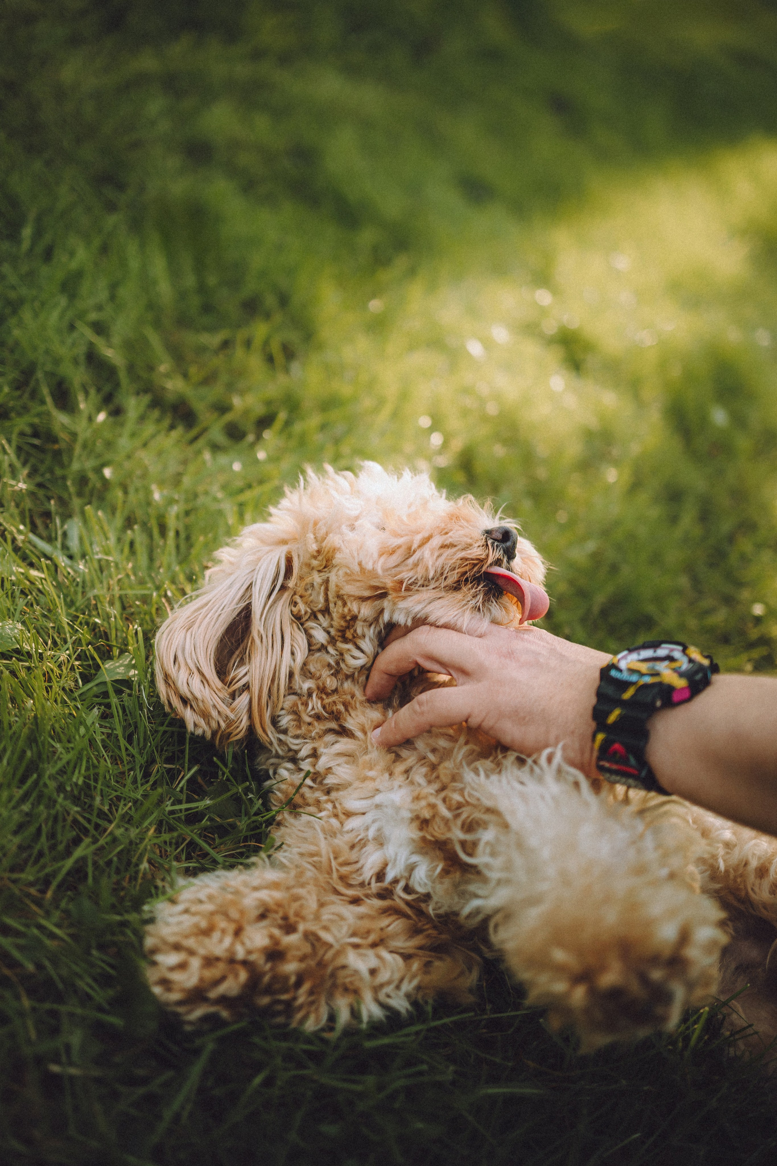 Фред и его семья