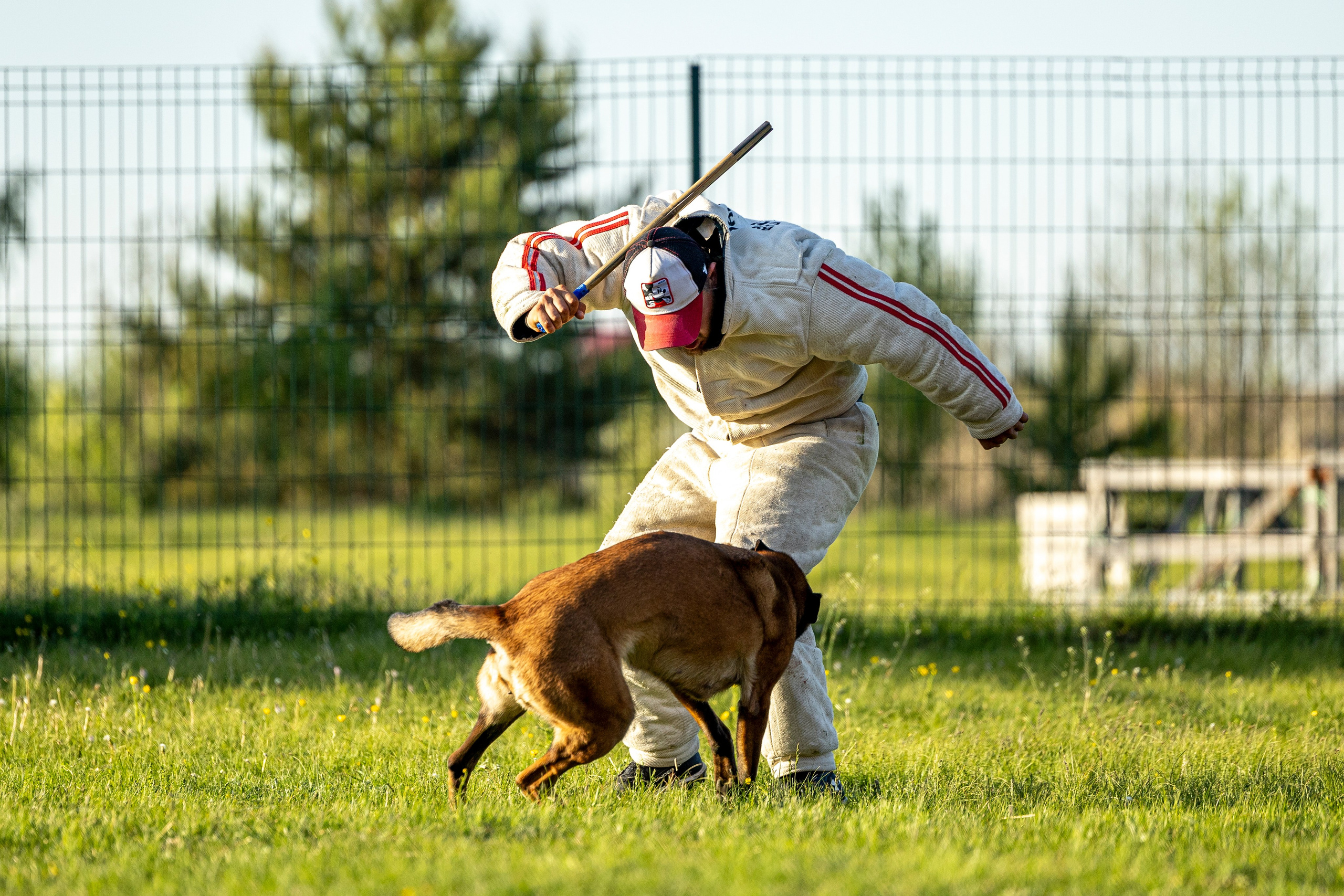 Испытания по мондьорингу в Нижнем Новгороде. Фотограф-анималист Анна Маринич