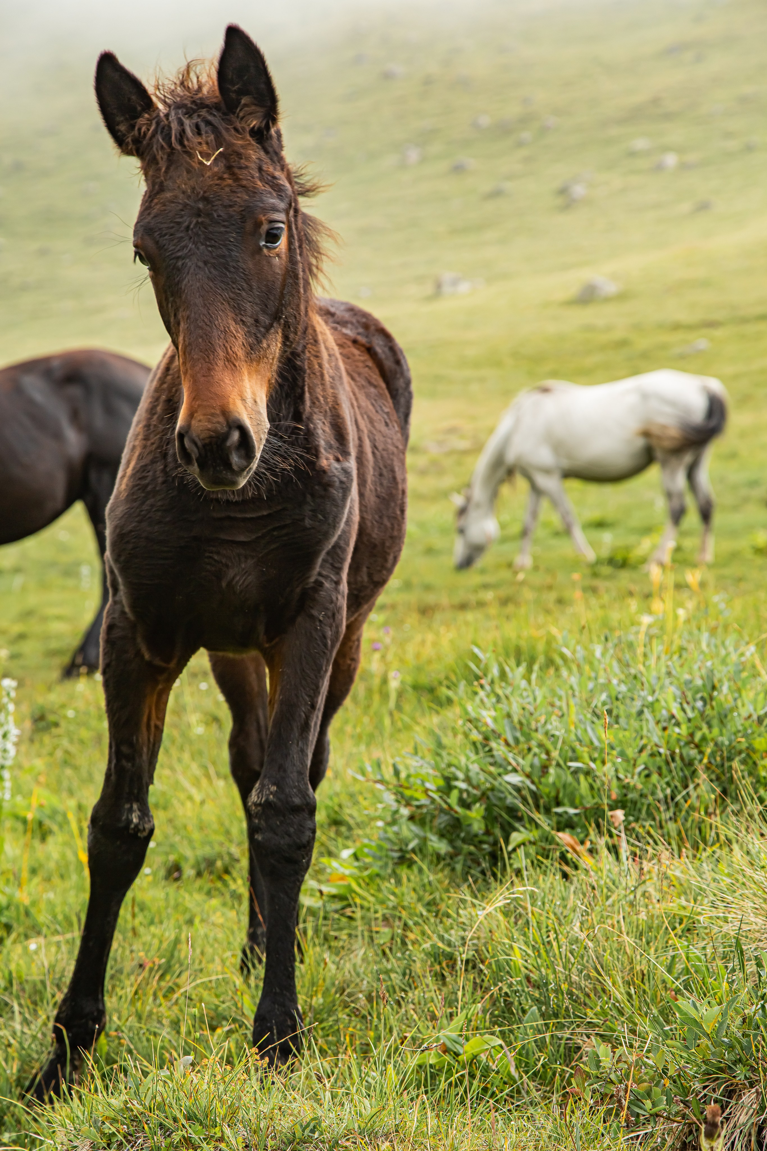 КАВКАЗ. Авторские туры с профессиональным фотографом