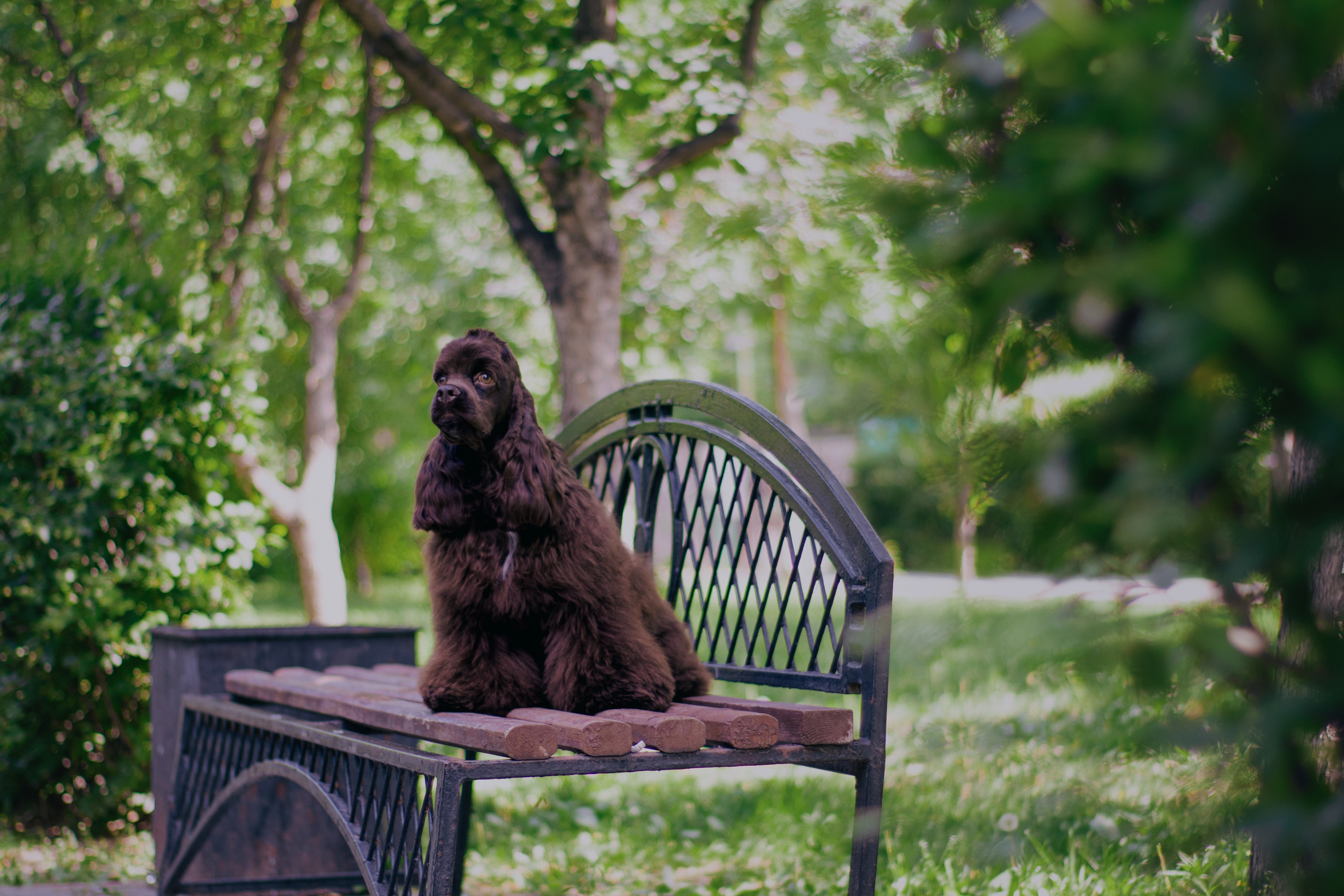Лера и Анри. Фотограф в Тюмени Лизавета Сапицкая