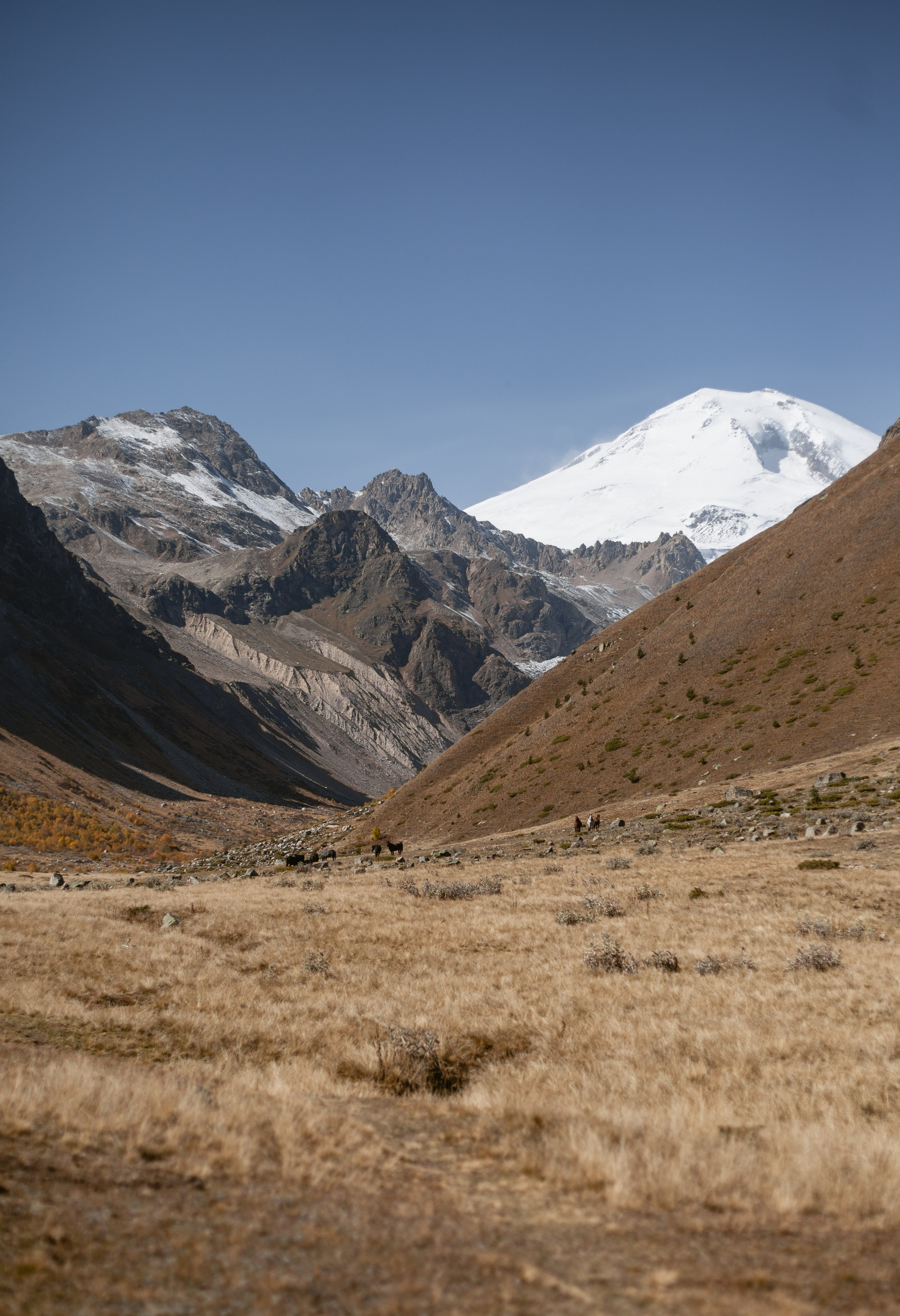 Трекинг Приэльбрусье. Уникальные экспедиции — LUCKY CLAN