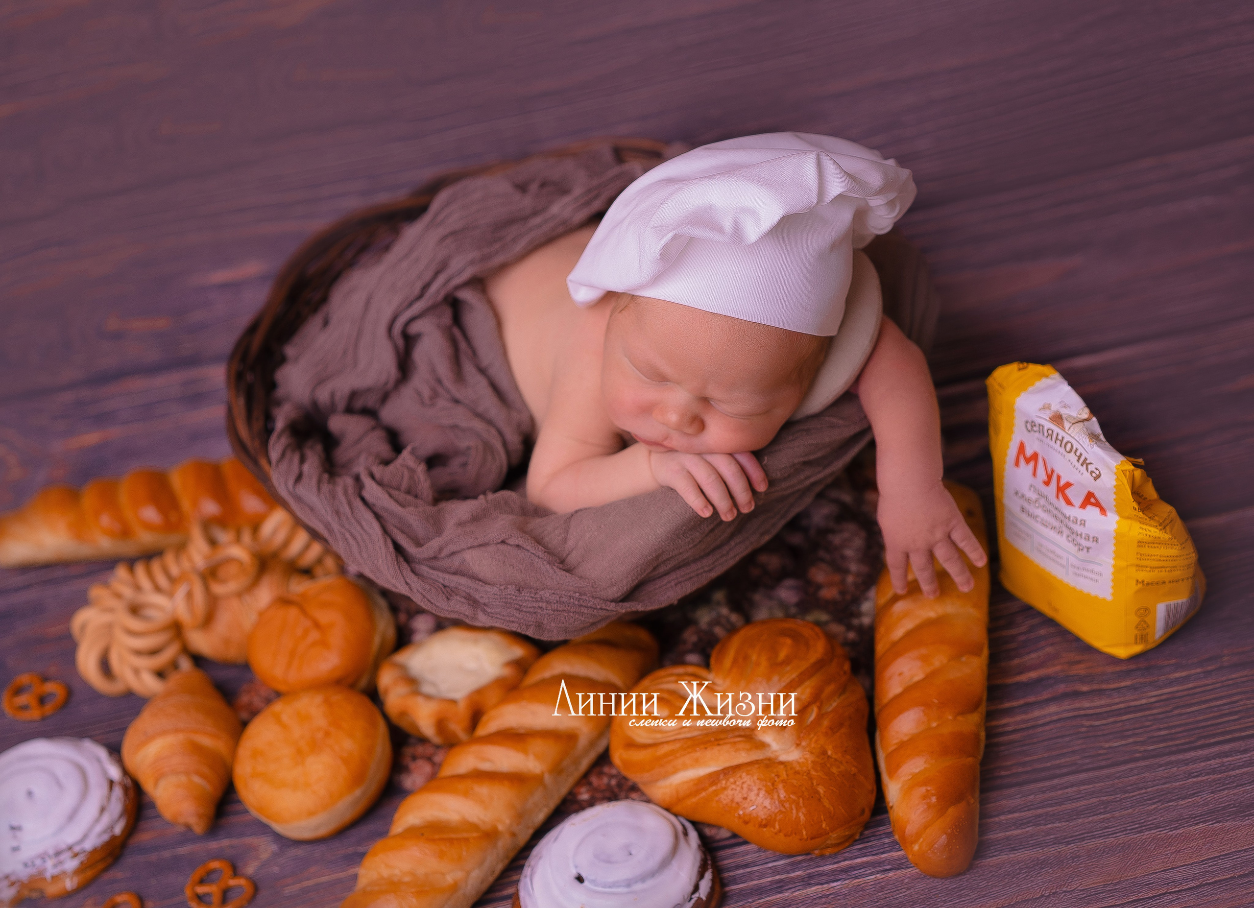 Лев 10 дней. Фотограф новорожденных в Нижнем Новгороде Сергеева Оксана