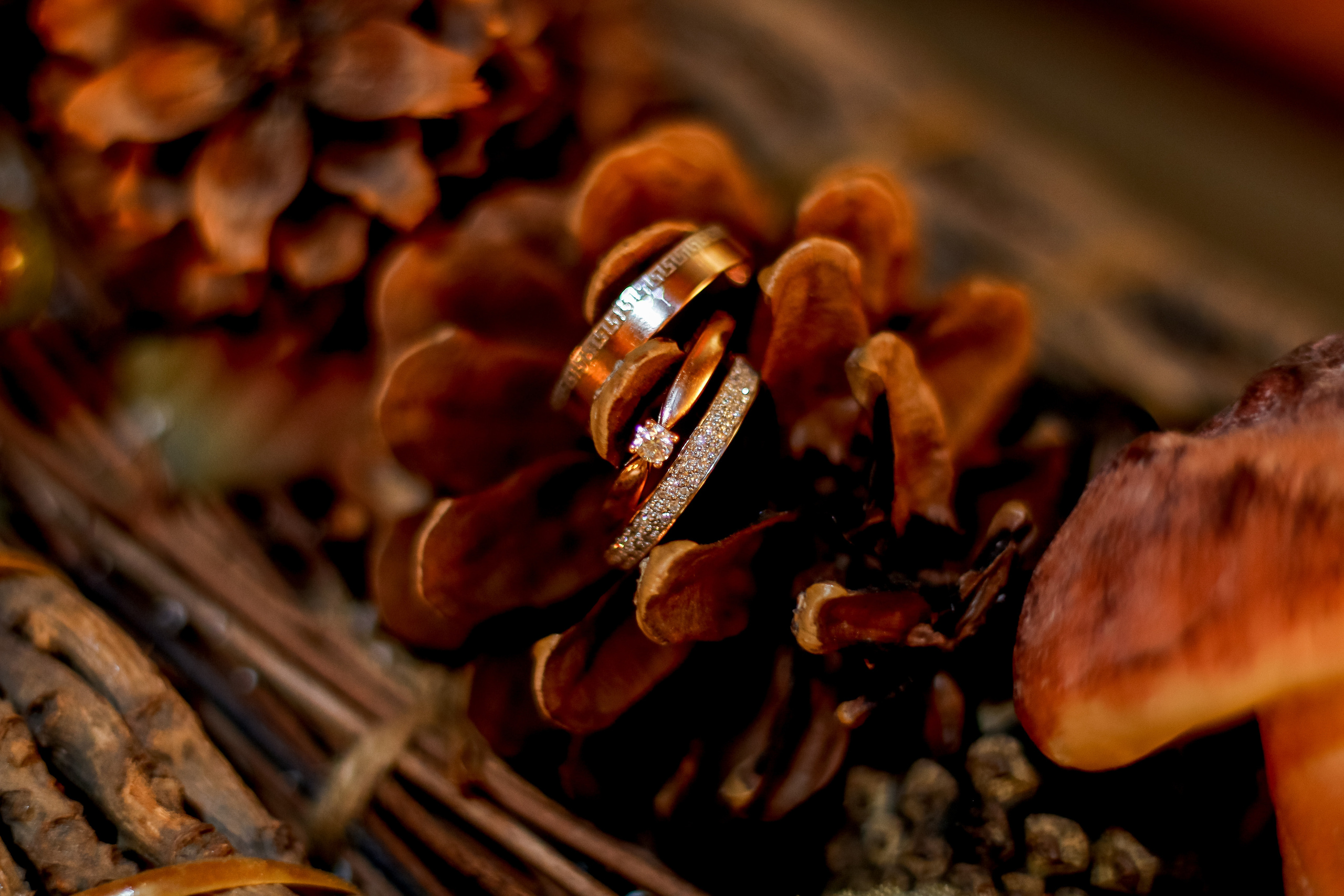 Лилия и Андрей. Свадебный, семейный фотограф в Санкт-Петербурге