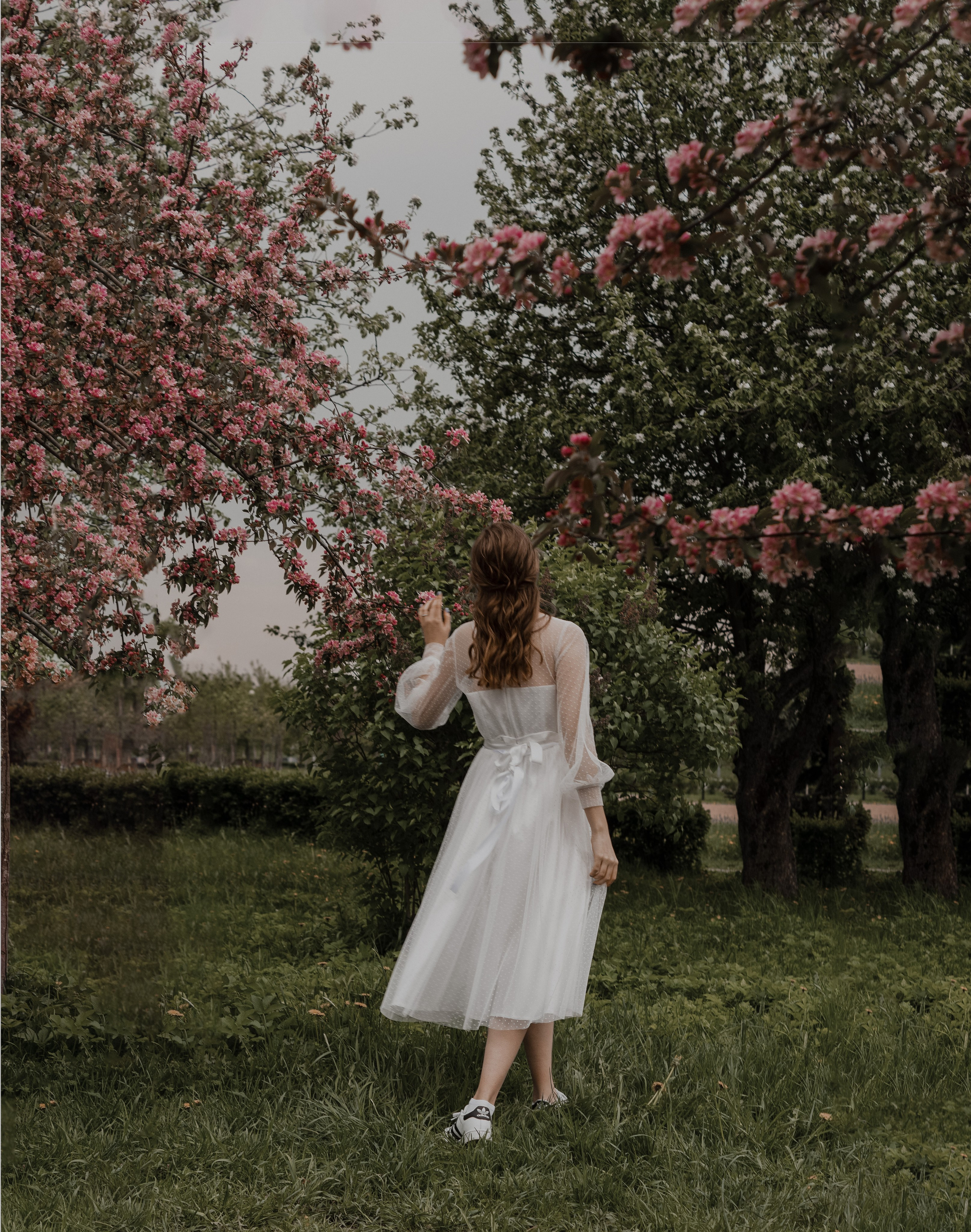 Цветение яблонь и вишни / Свадебная