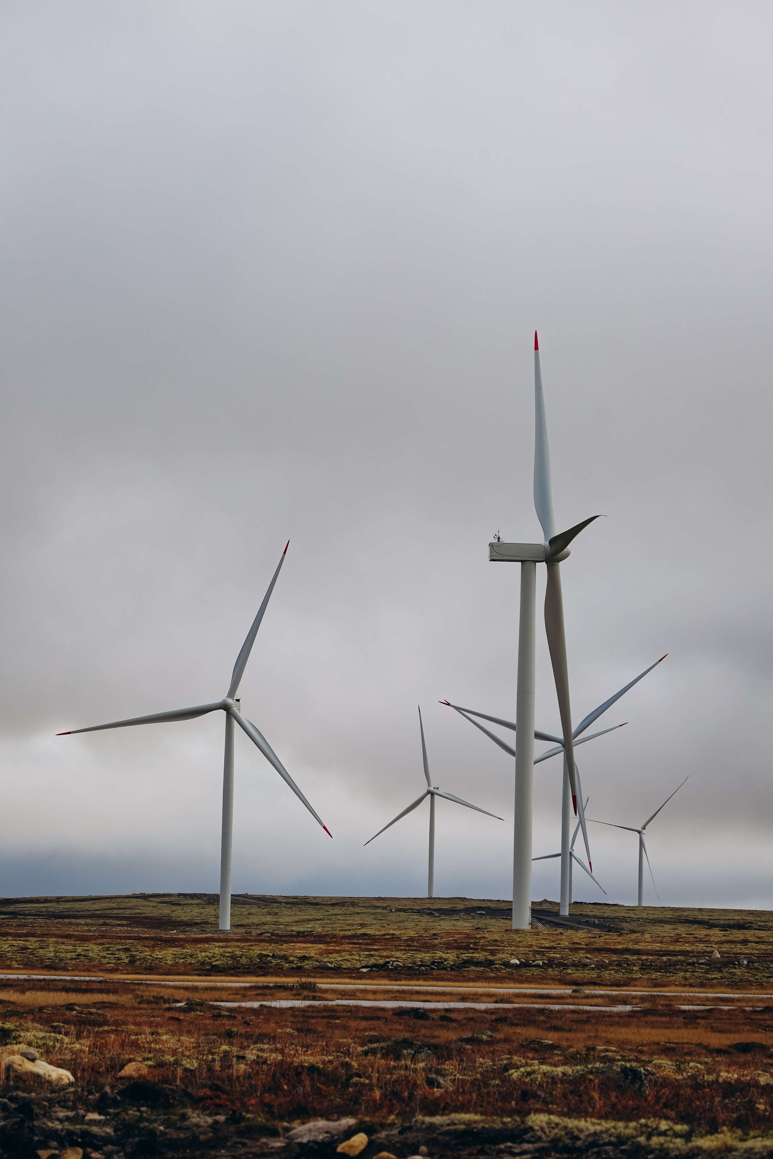 СЕВЕР. Event фотограф Степанова Александра