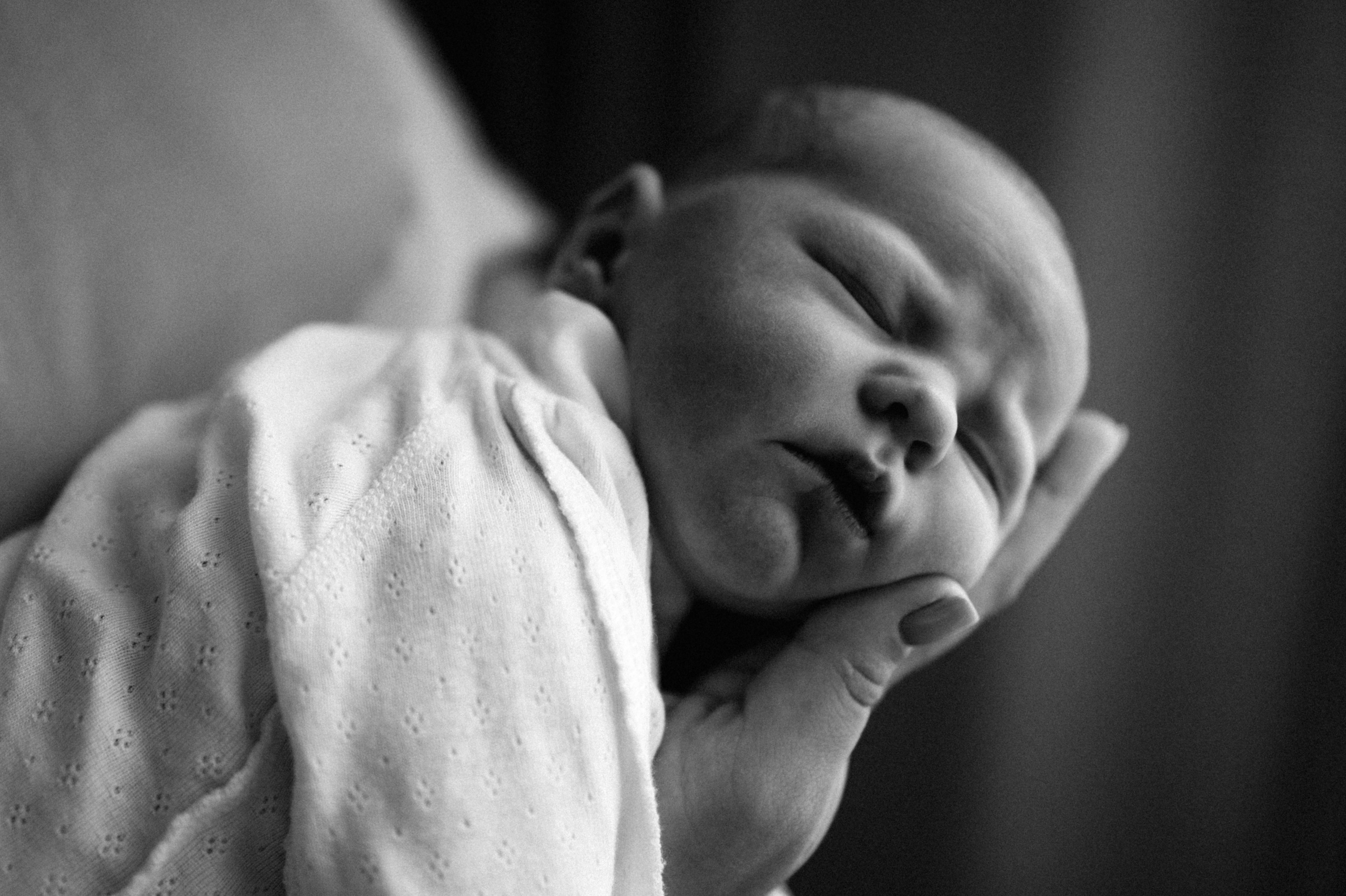 Домашние. Главная