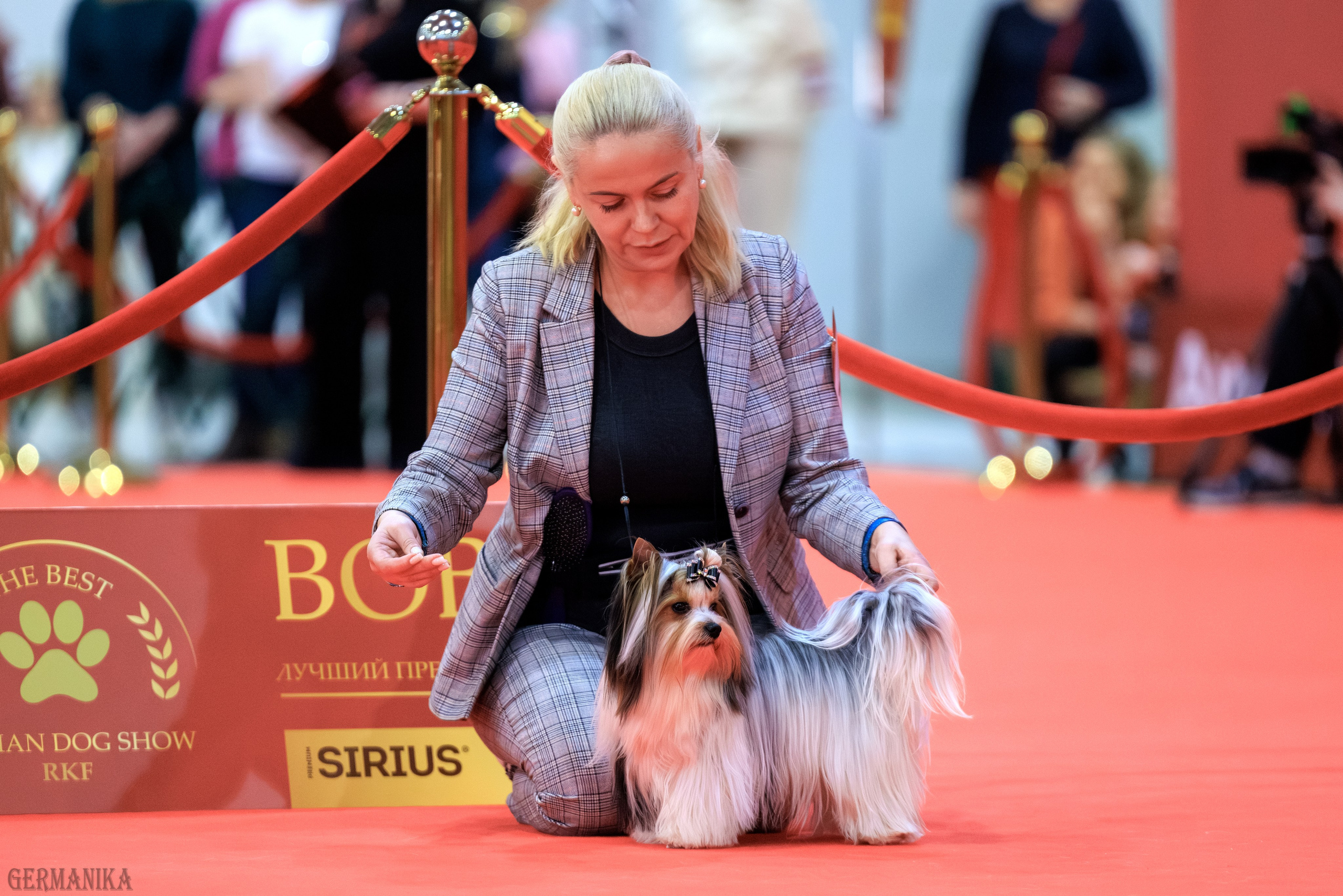 Лучшие Собаки России 17-18.02.2024. Фотограф-анималист Юлия Германика