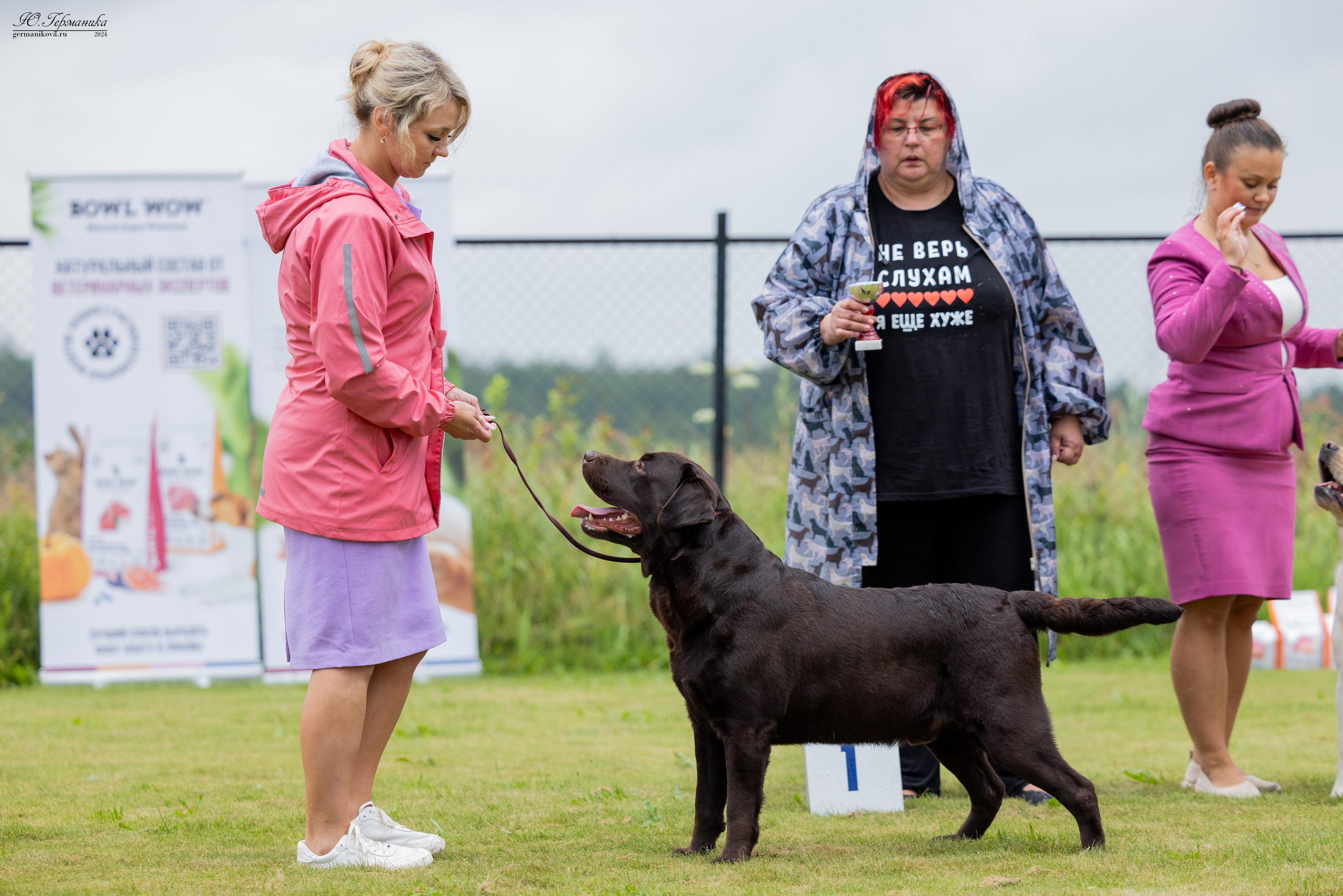 Ярославль 21.07.24 и Балашиха 13.07.24. Фотограф-анималист Юлия Германика