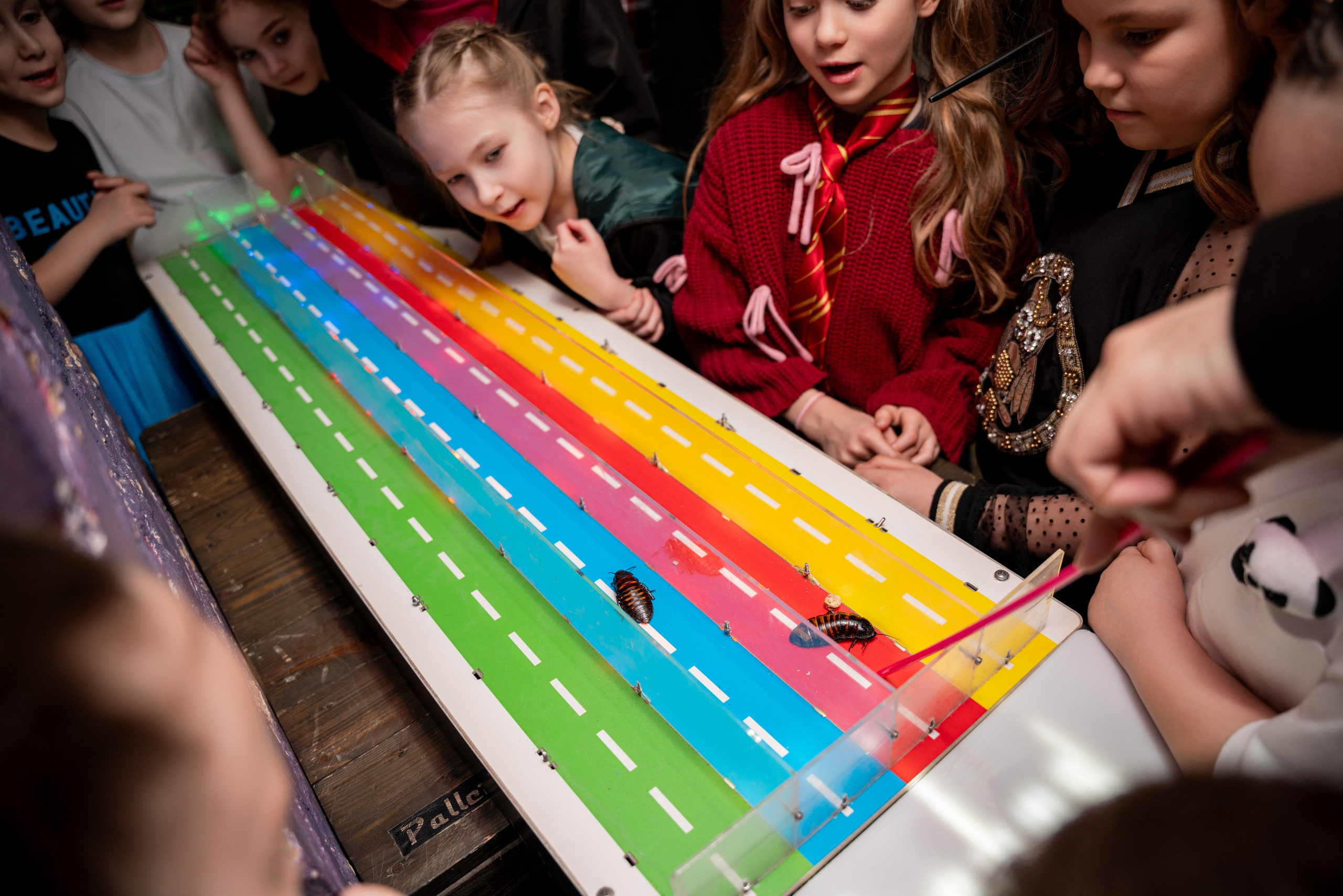 ДР МАШИ. Фотограф на любое мероприятие