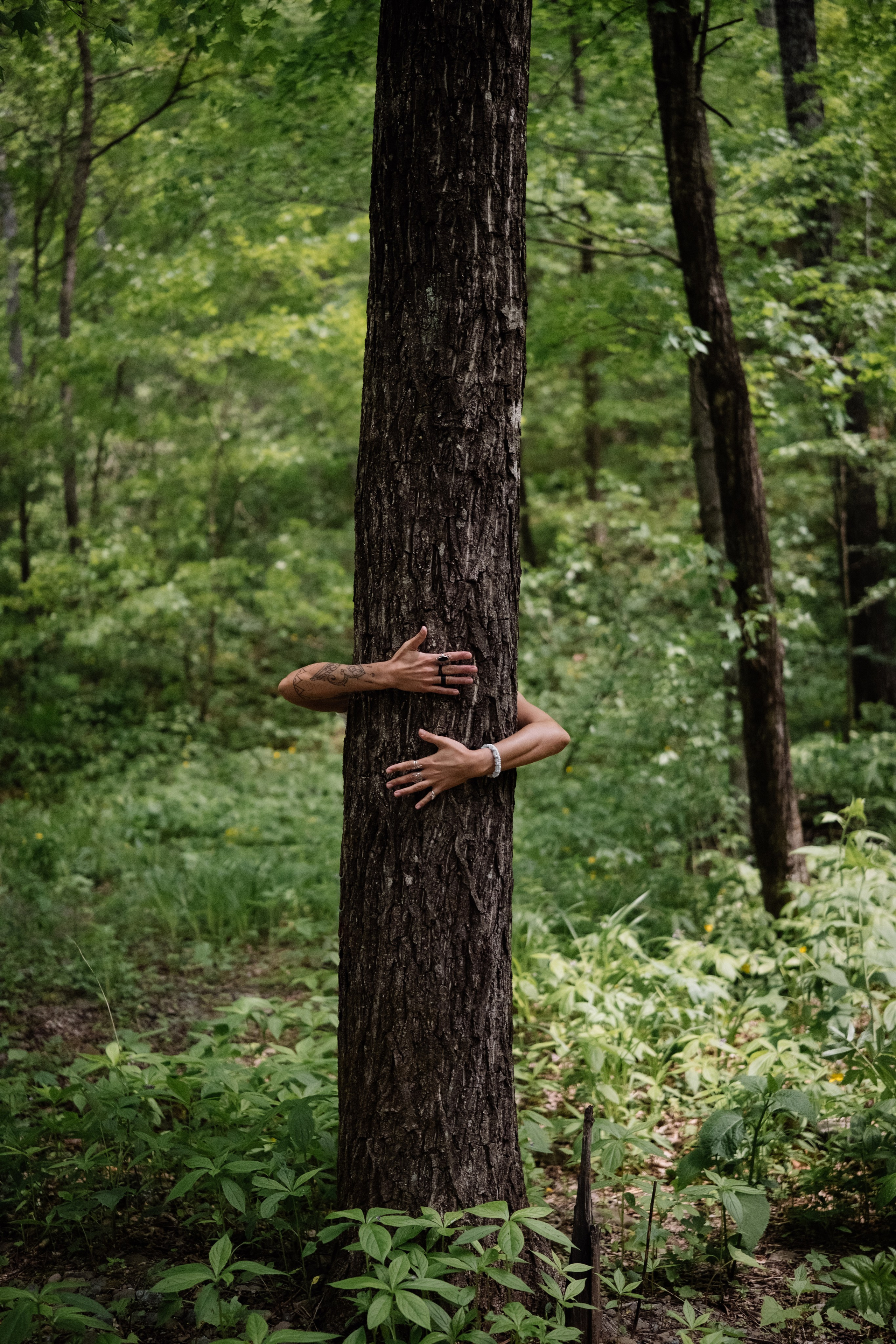 НЕОБЫЧНОЕ. Фотограф Владивосток Оля КРОКС
