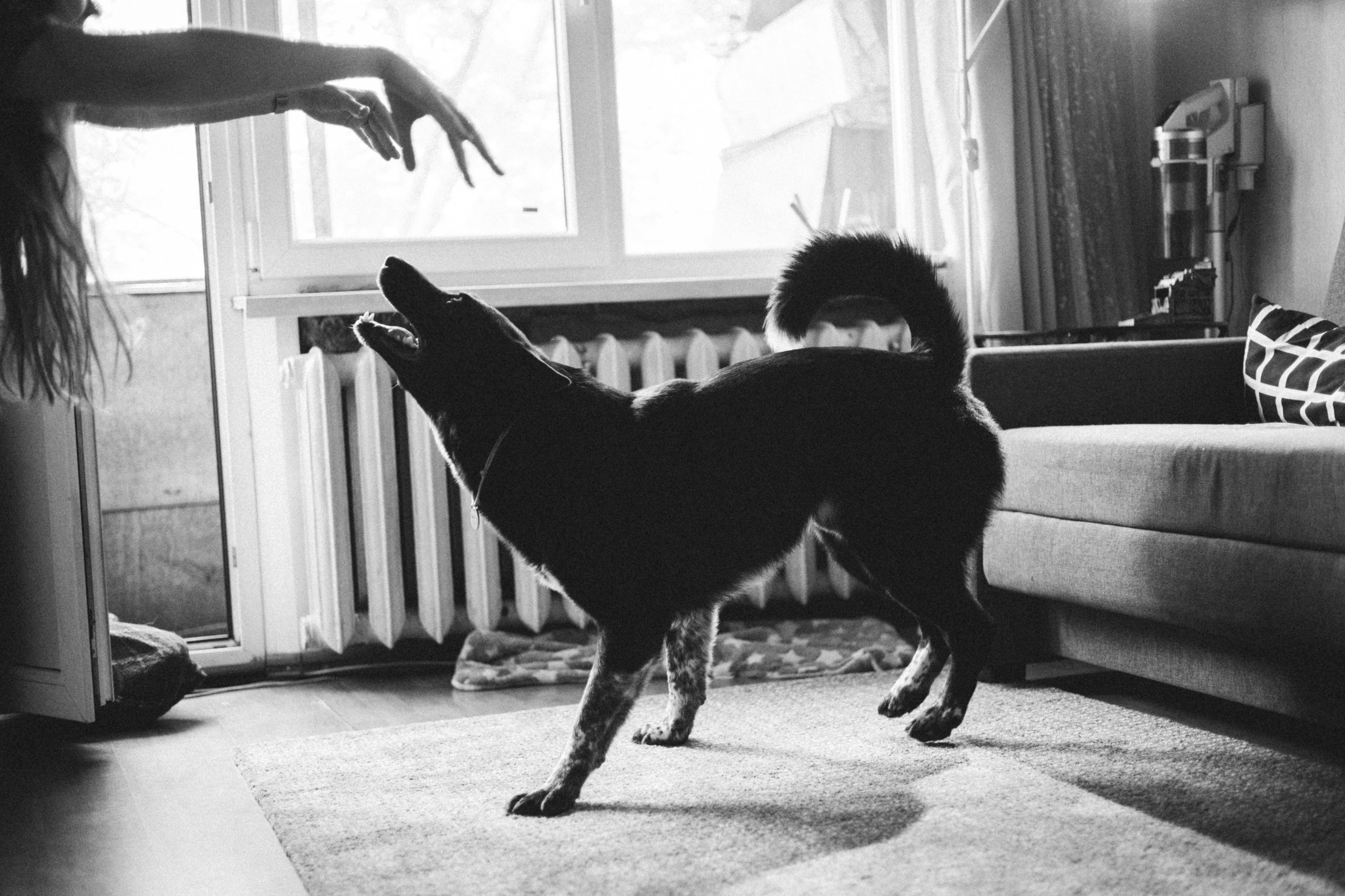 Ира и Морфей. Фотограф Анна Луценко Москва