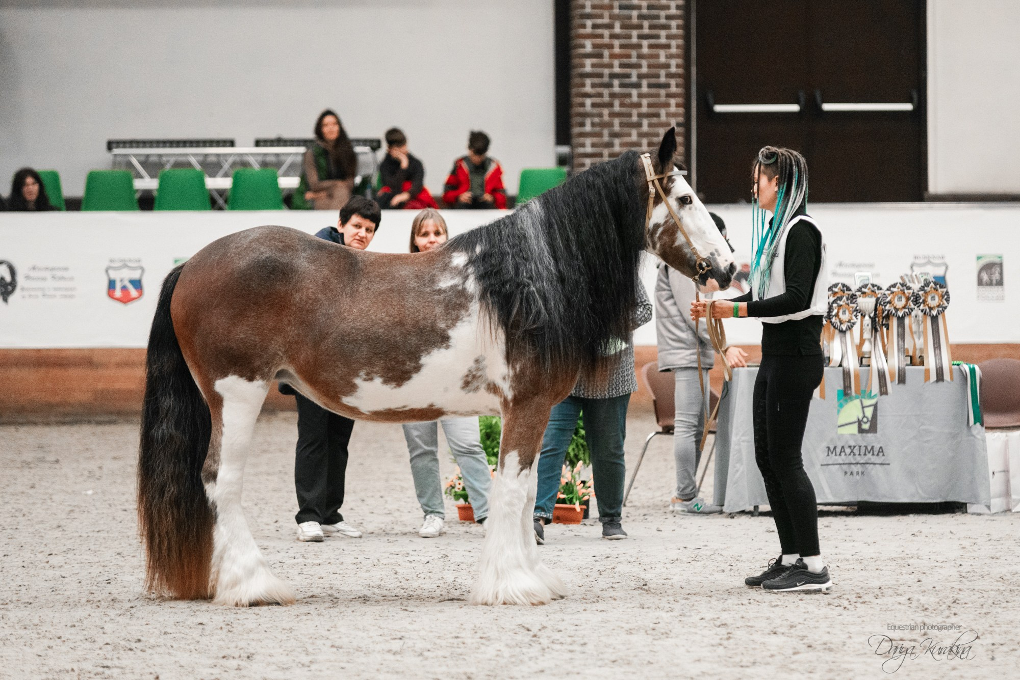 8-я международная выставка Конная Россия. Конный фотограф Куракина Дарья • Фотосессии с лошадьми