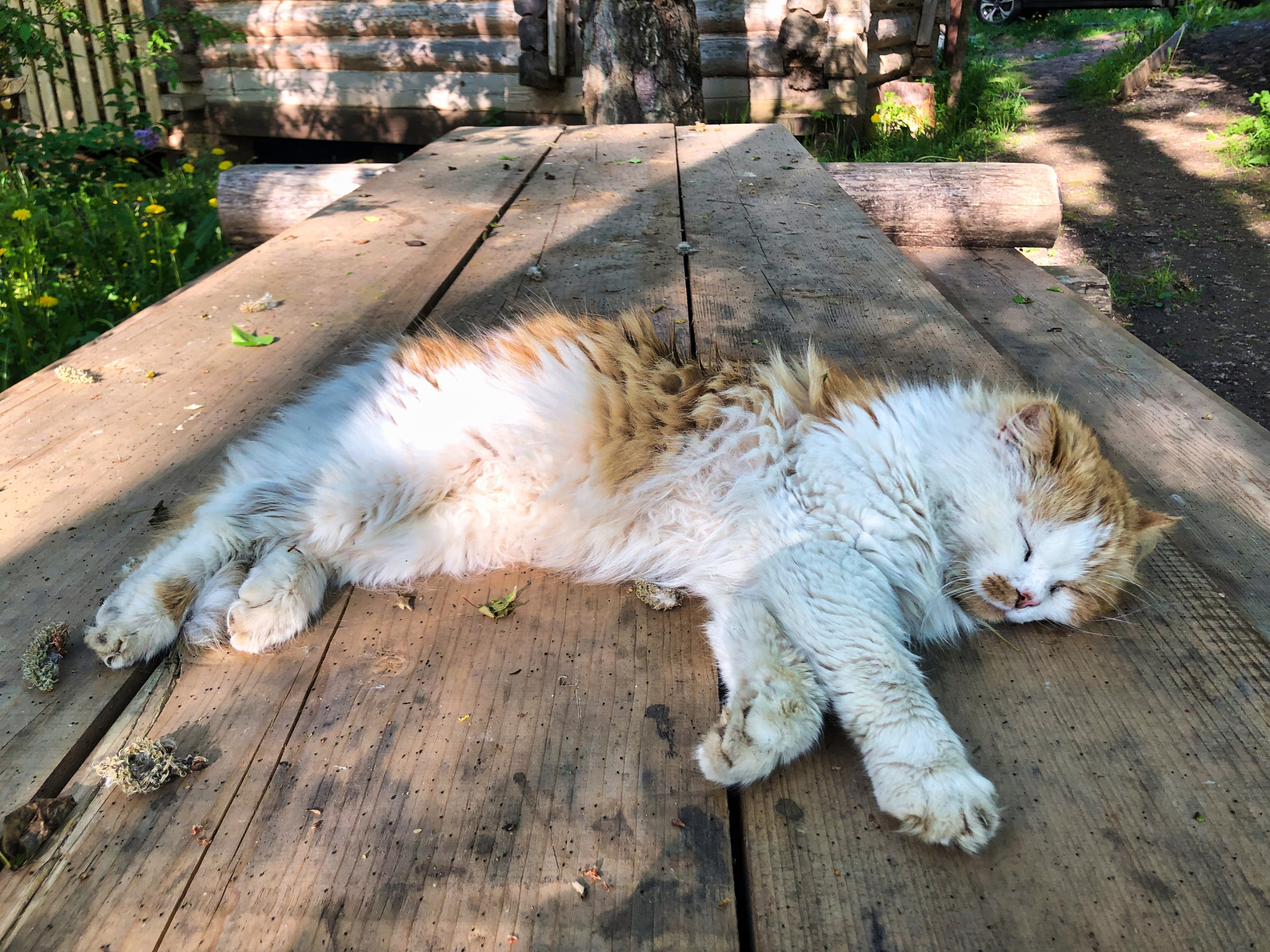 На берегу Угры. Конец мая 2024 года. Фотограф Никифоров-Гордеев Сергей. Москва и МО